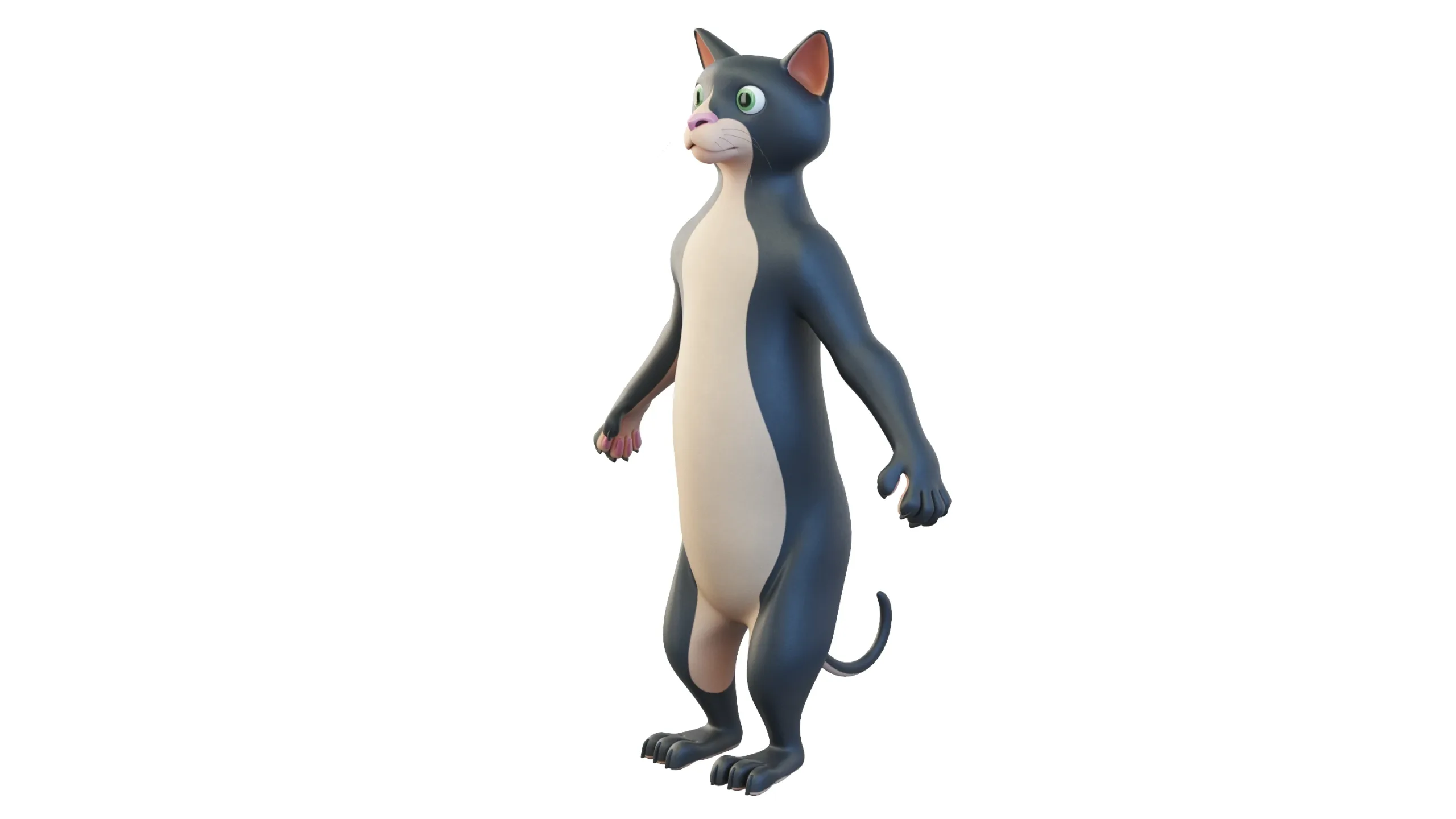 Cartoon Cat Character