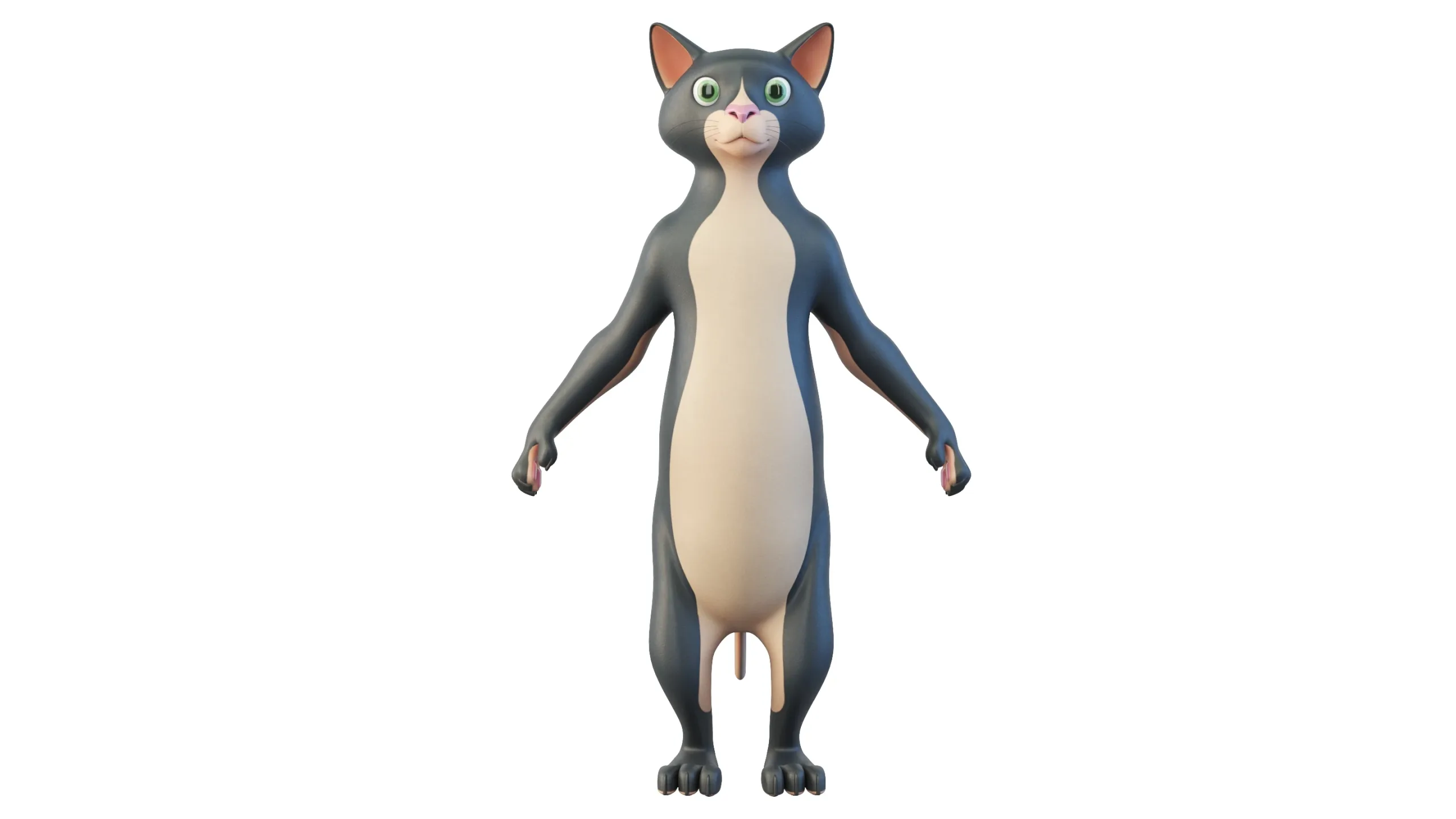 Cartoon Cat Character