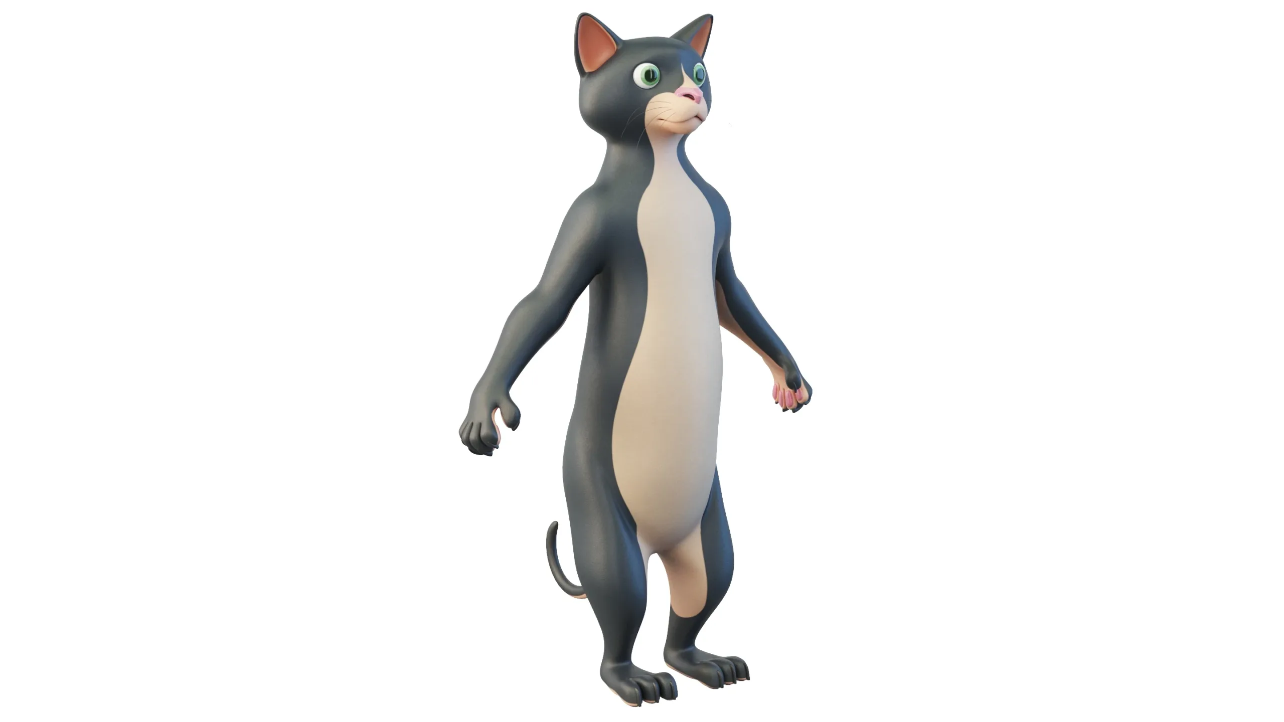 Cartoon Cat Character