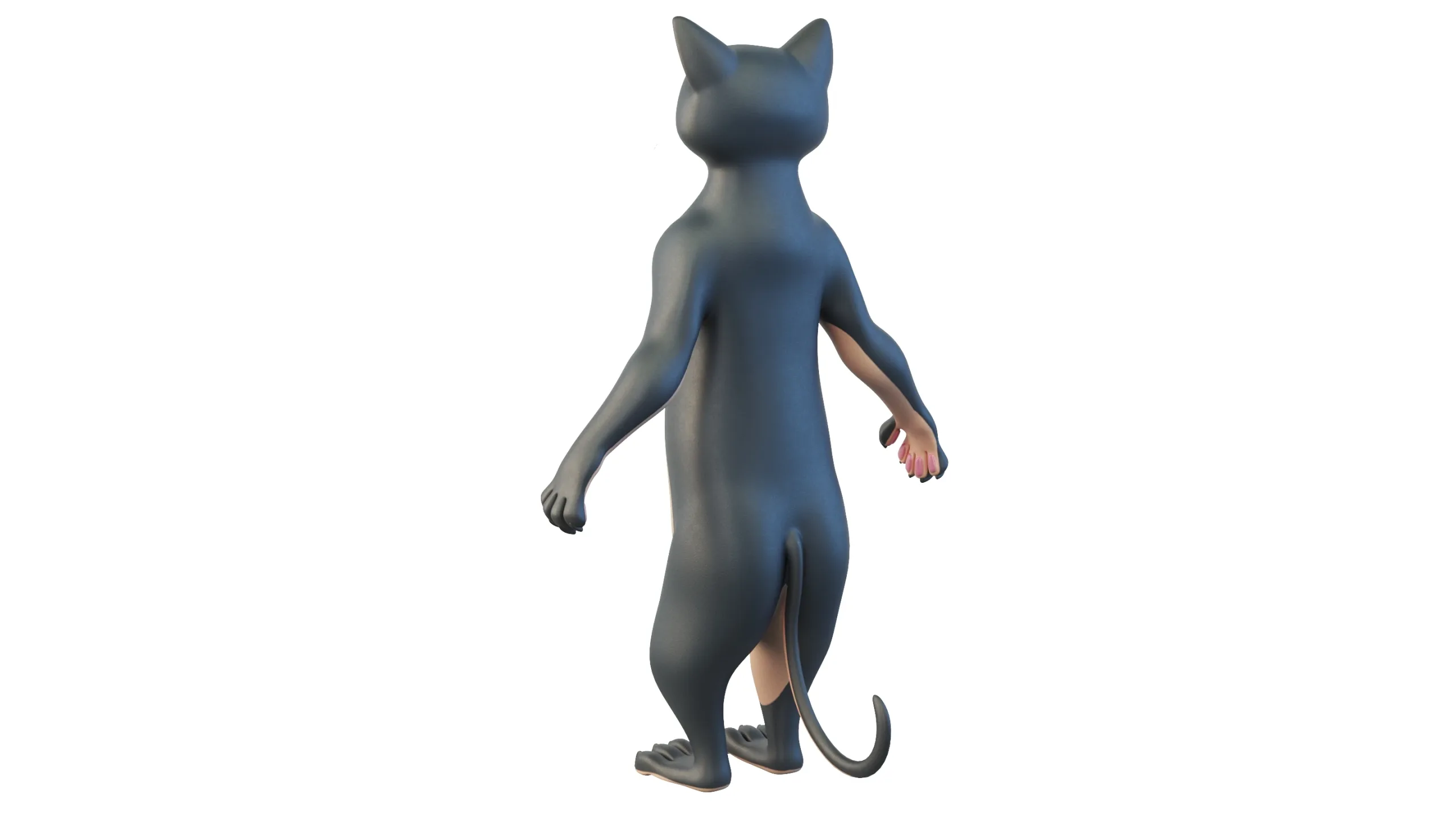 Cartoon Cat Character