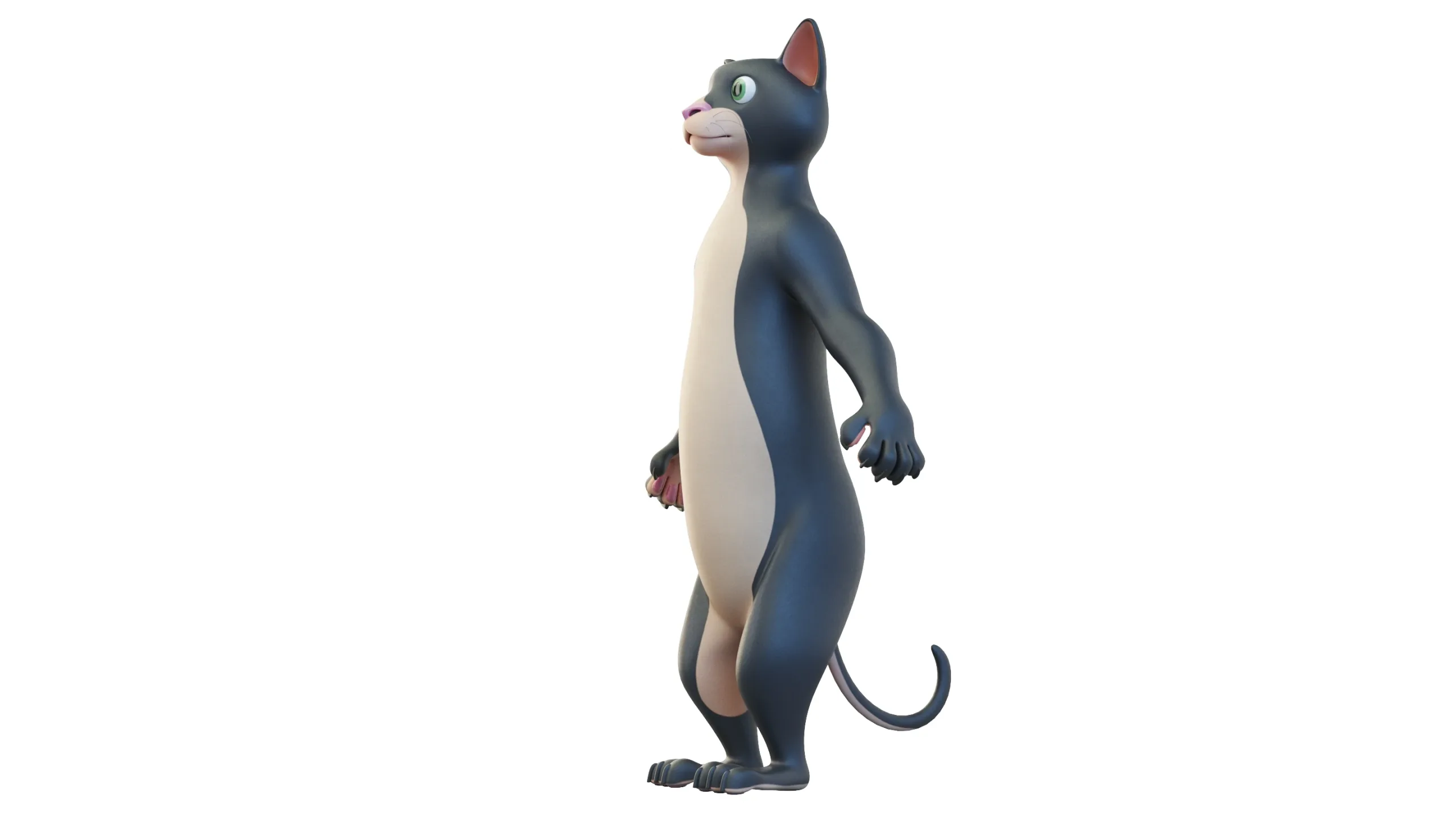 Cartoon Cat Character