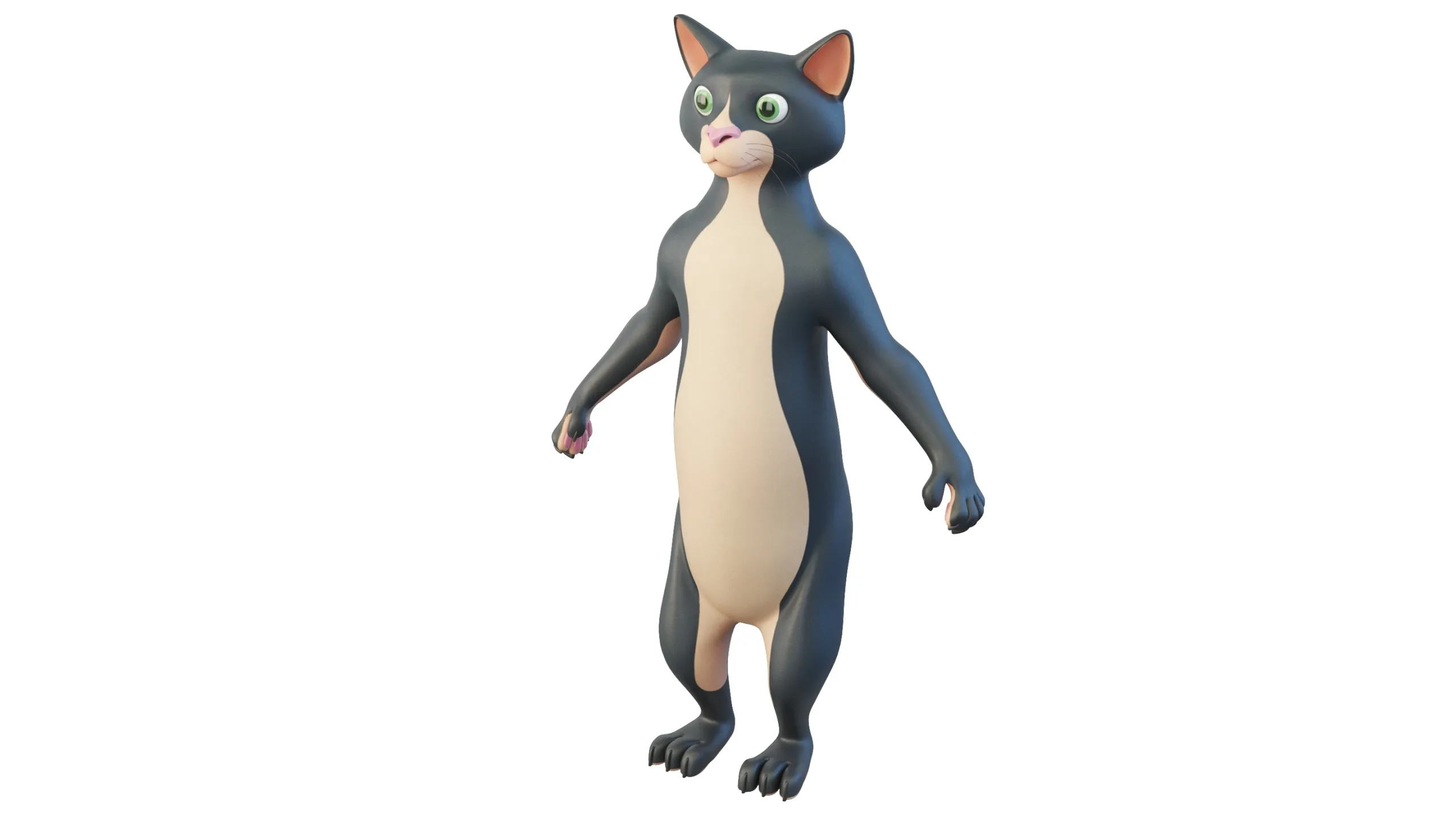 Cartoon Cat Character