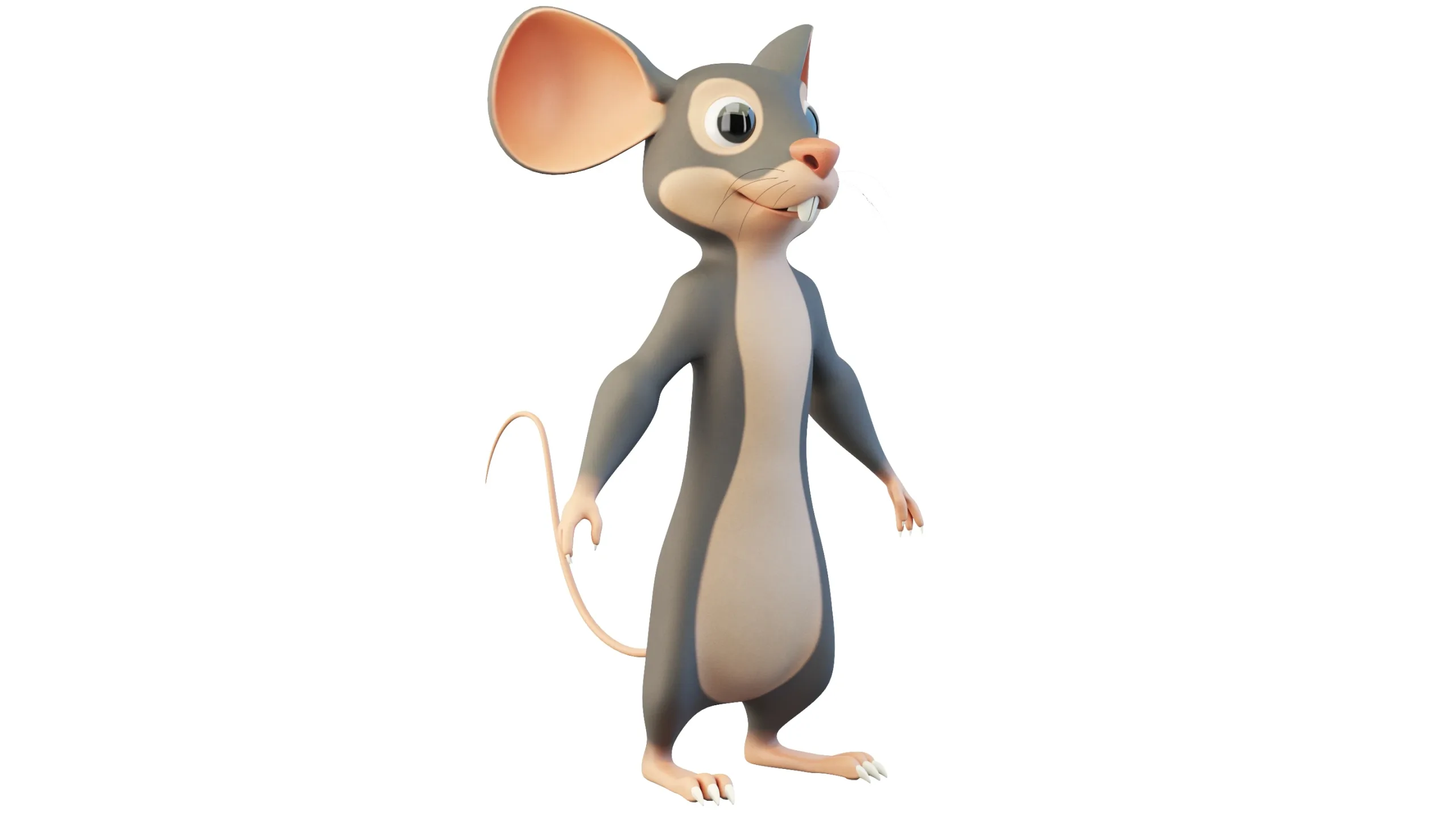 Cartoon Mouse Character