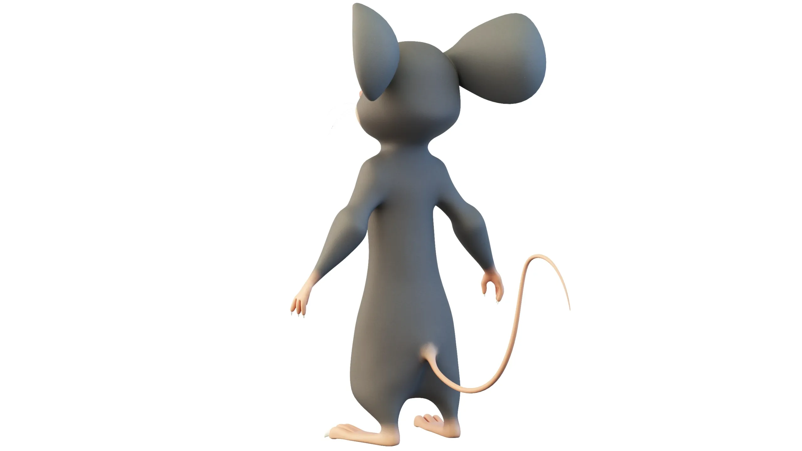 Cartoon Mouse Character