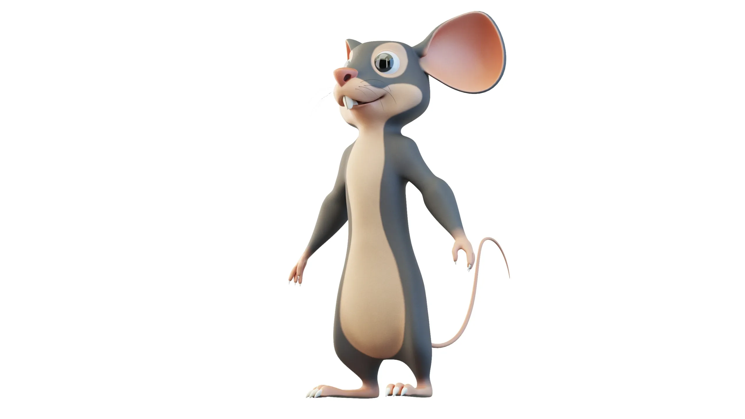 Cartoon Mouse Character