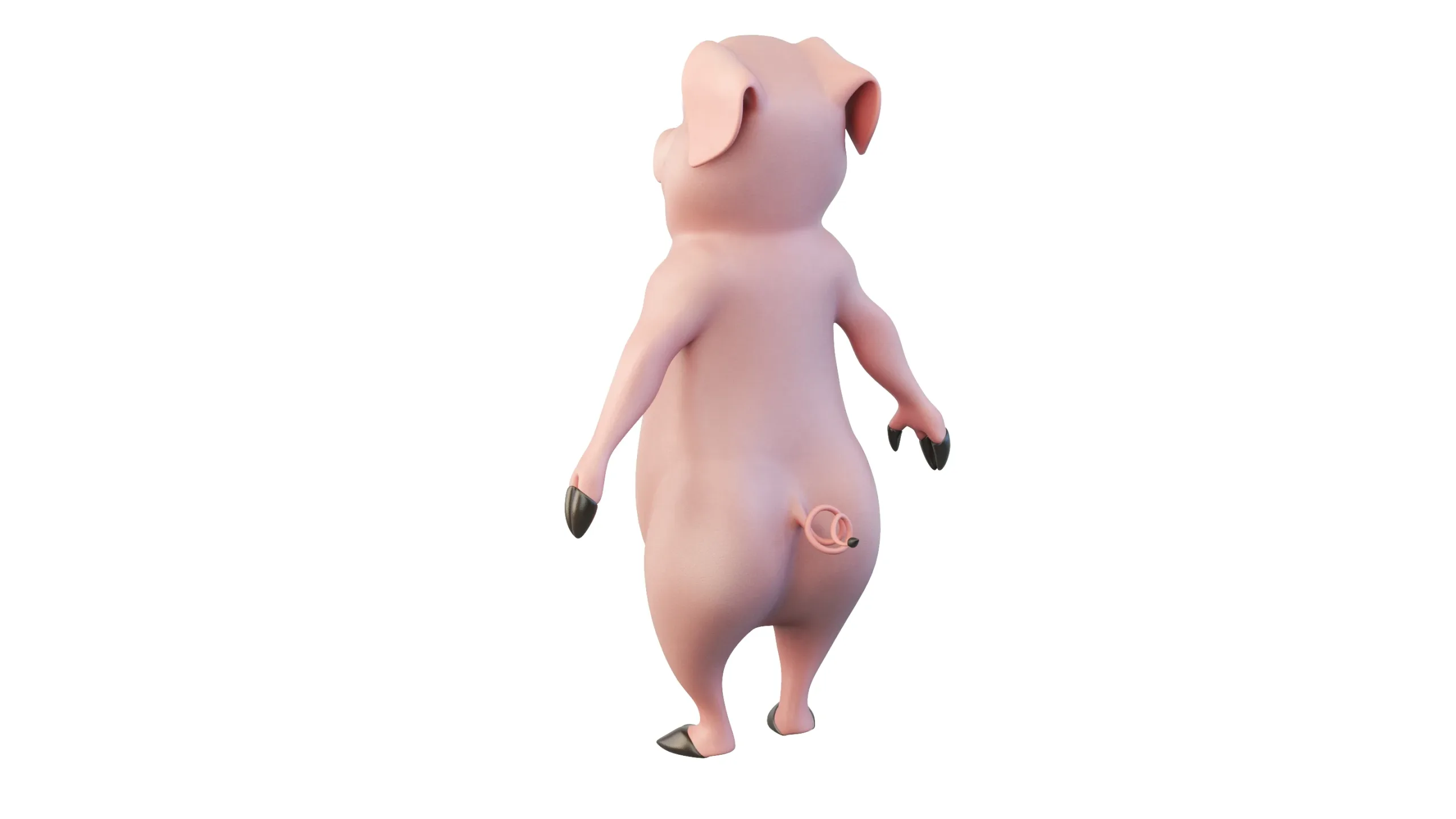 Cartoon Piggy Character