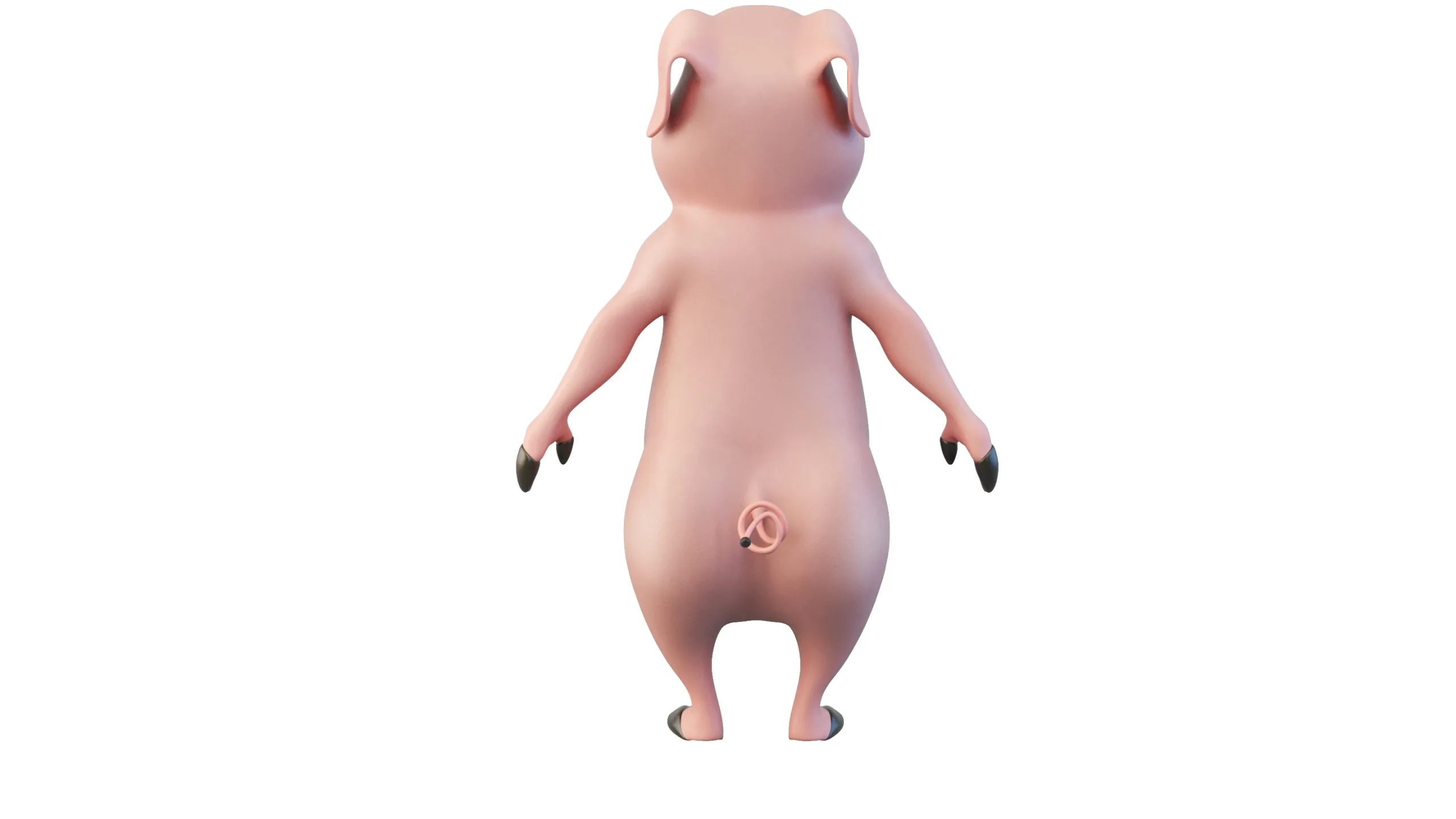 Cartoon Piggy Character