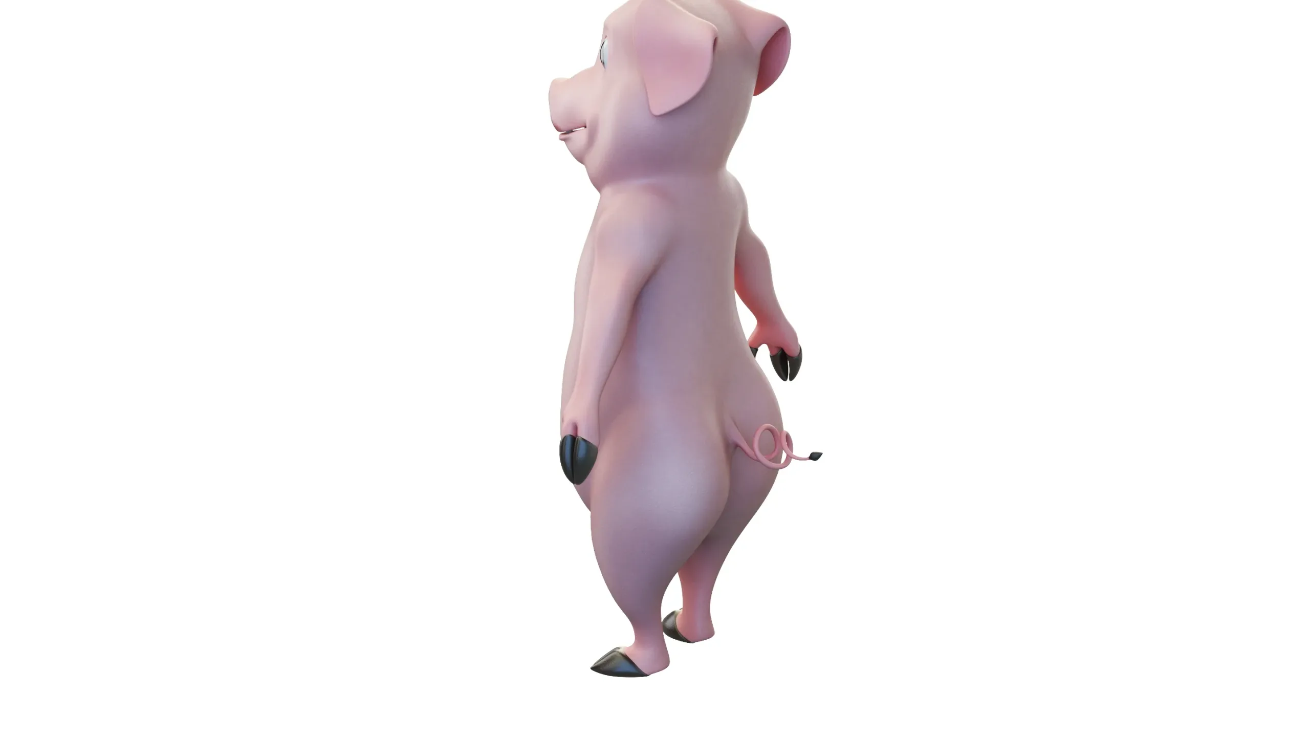 Cartoon Piggy Character