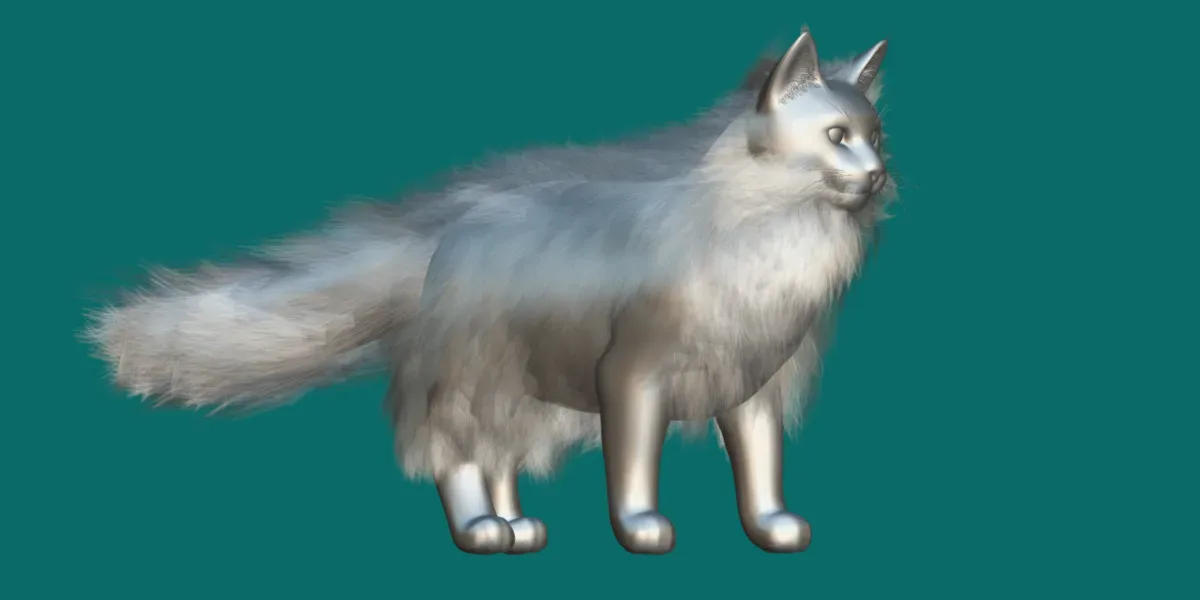 American LongHair Cat