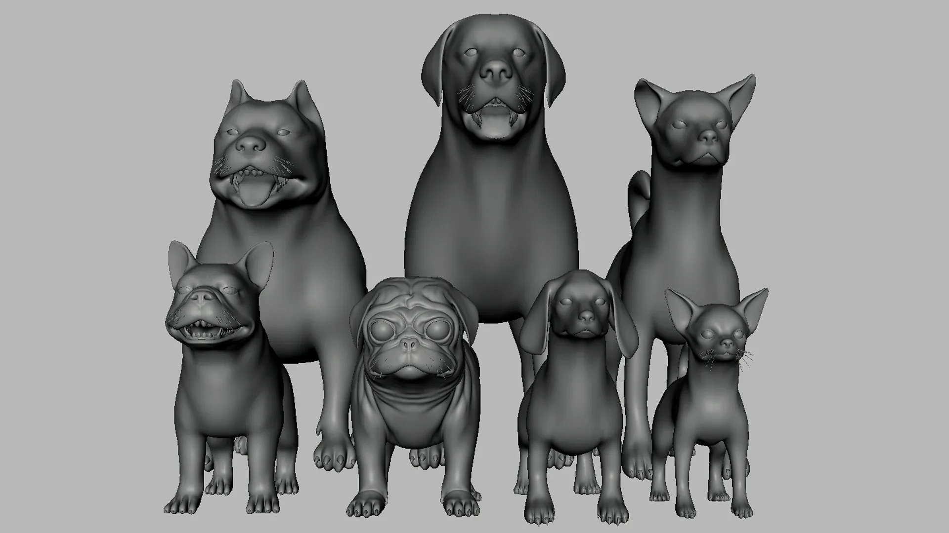 7Dog BaseMesh Pack - Topology + UV Map ( Pitbull+Labrador+StreetDog+French BullDog+Pug+Dachshund+Chihuahua)