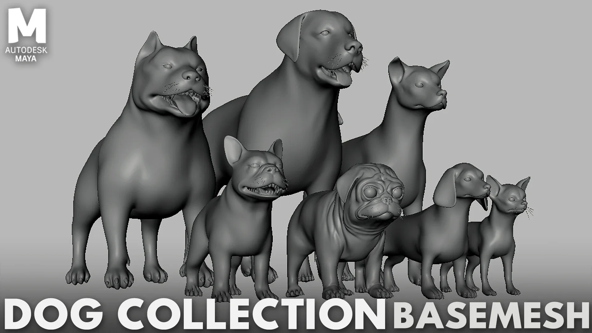 7Dog BaseMesh Pack - Topology + UV Map ( Pitbull+Labrador+StreetDog+French BullDog+Pug+Dachshund+Chihuahua)