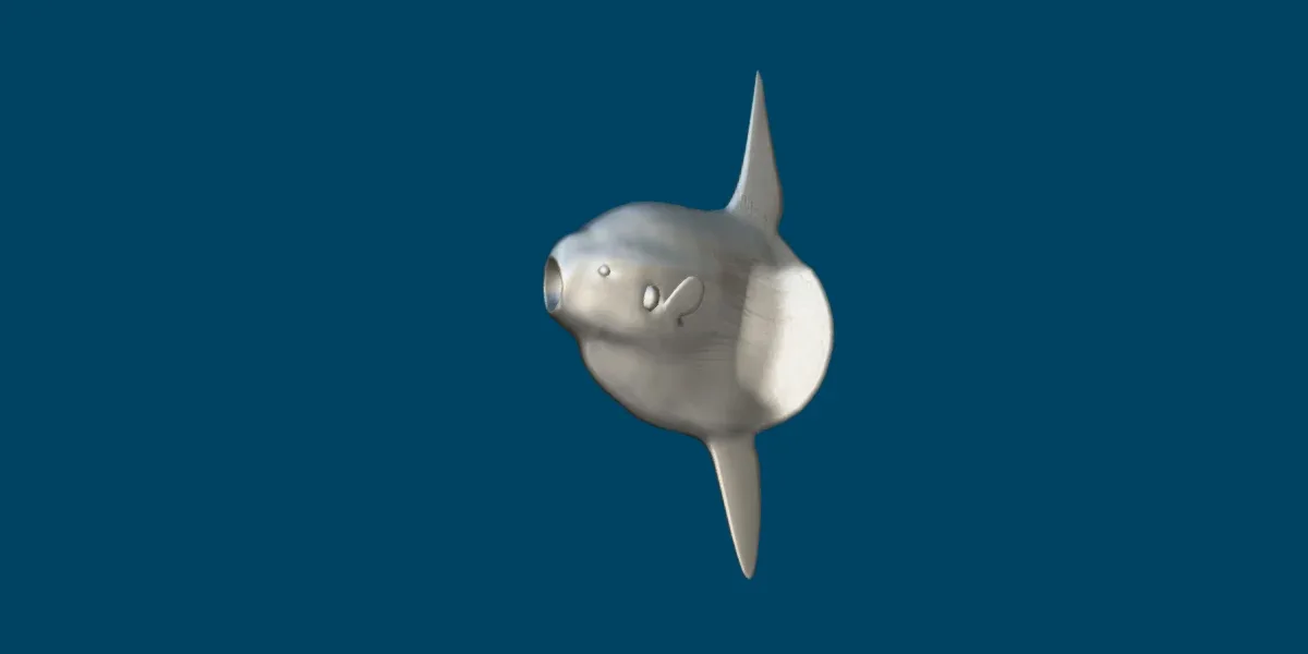 Ocean Sunfish Mola