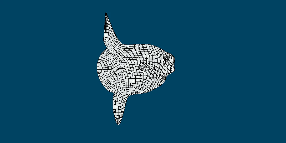 Ocean Sunfish Mola