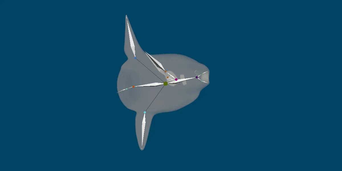 Ocean Sunfish Mola