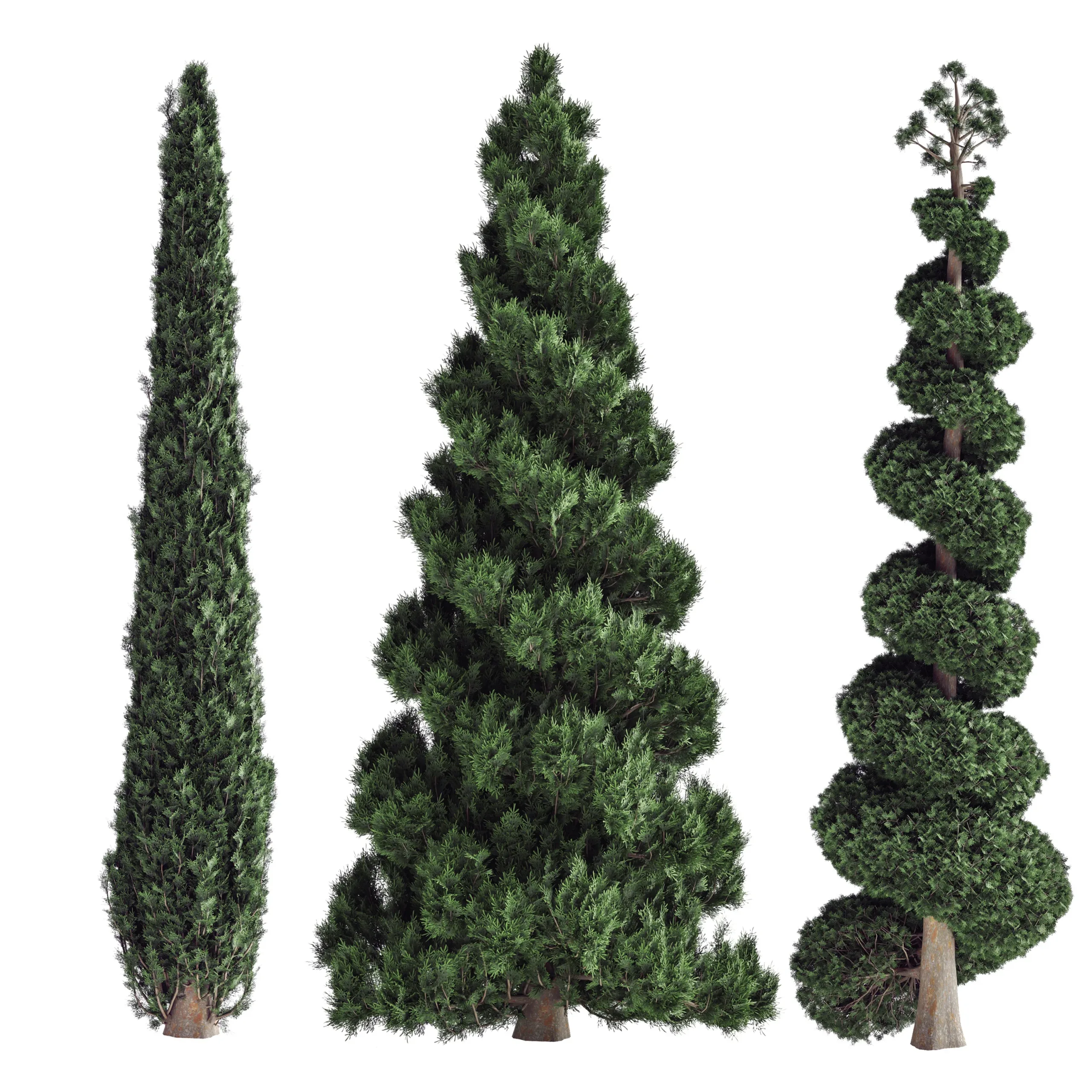 pine tree set 02