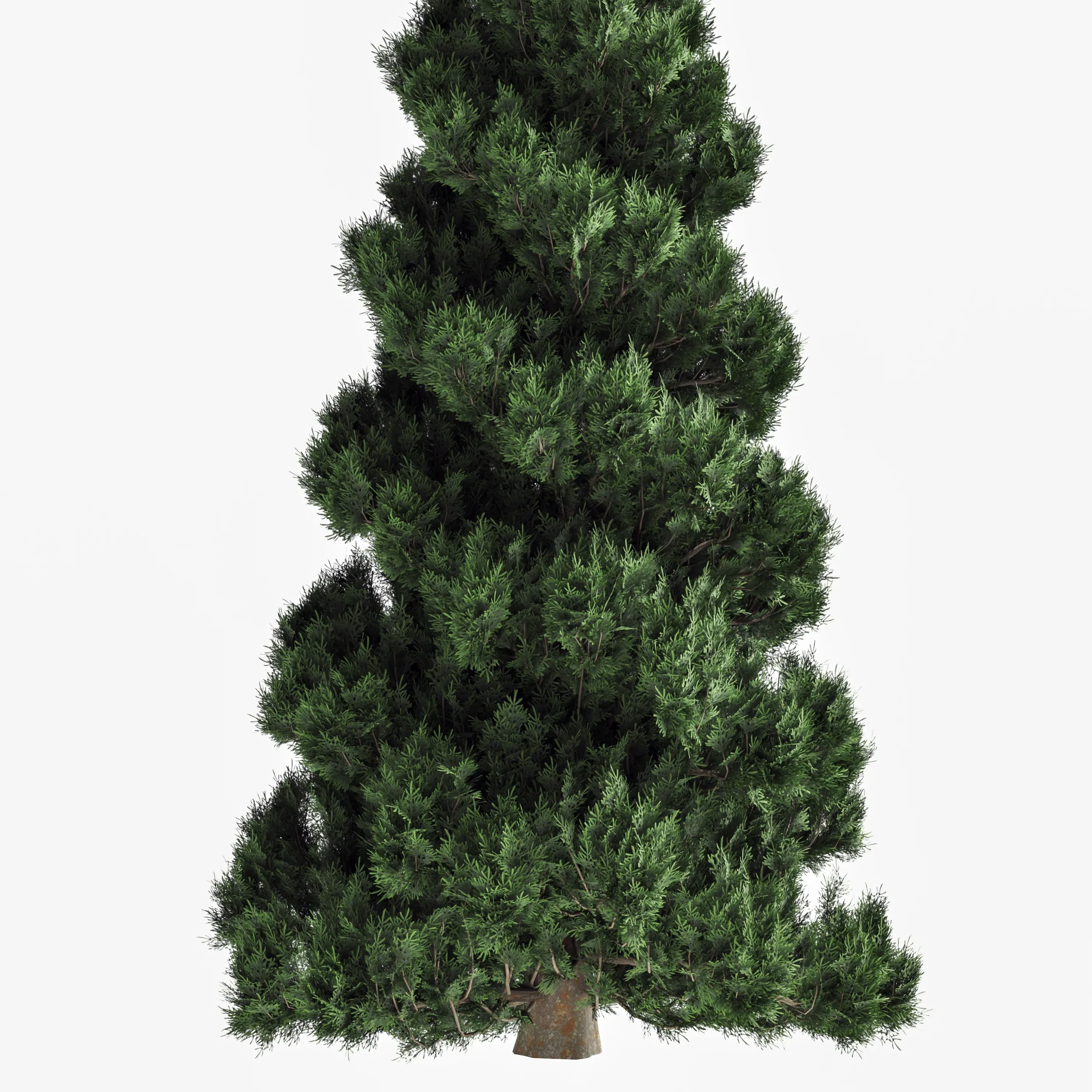 pine tree set 02