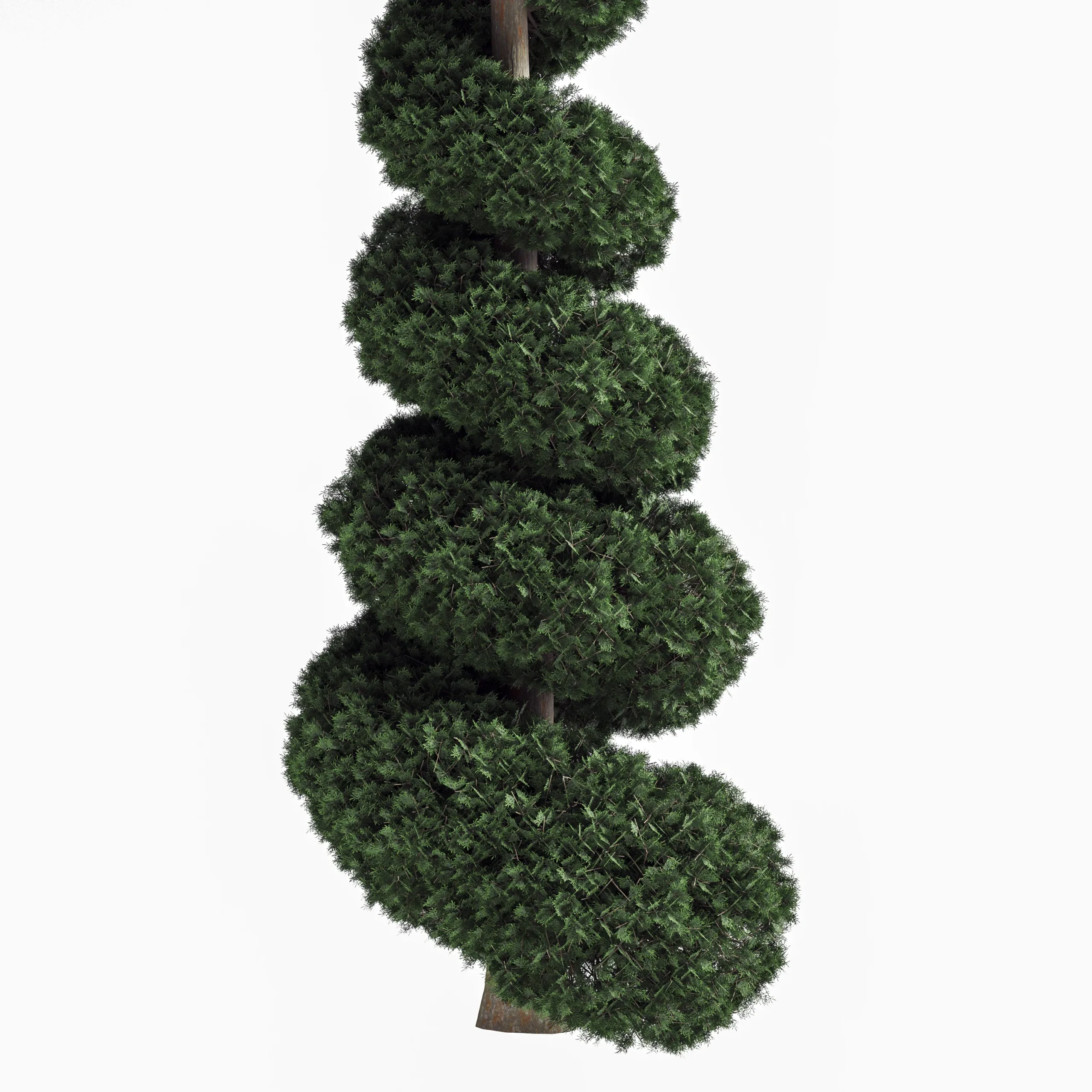 pine tree set 02