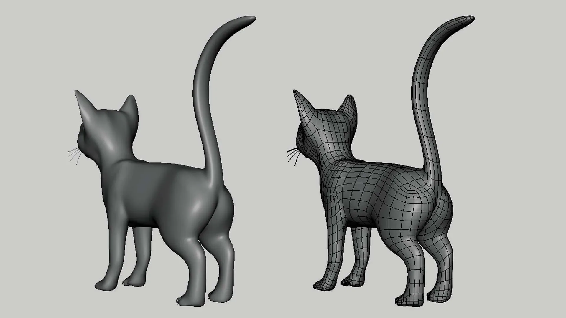 Cat - Topology + UV Map