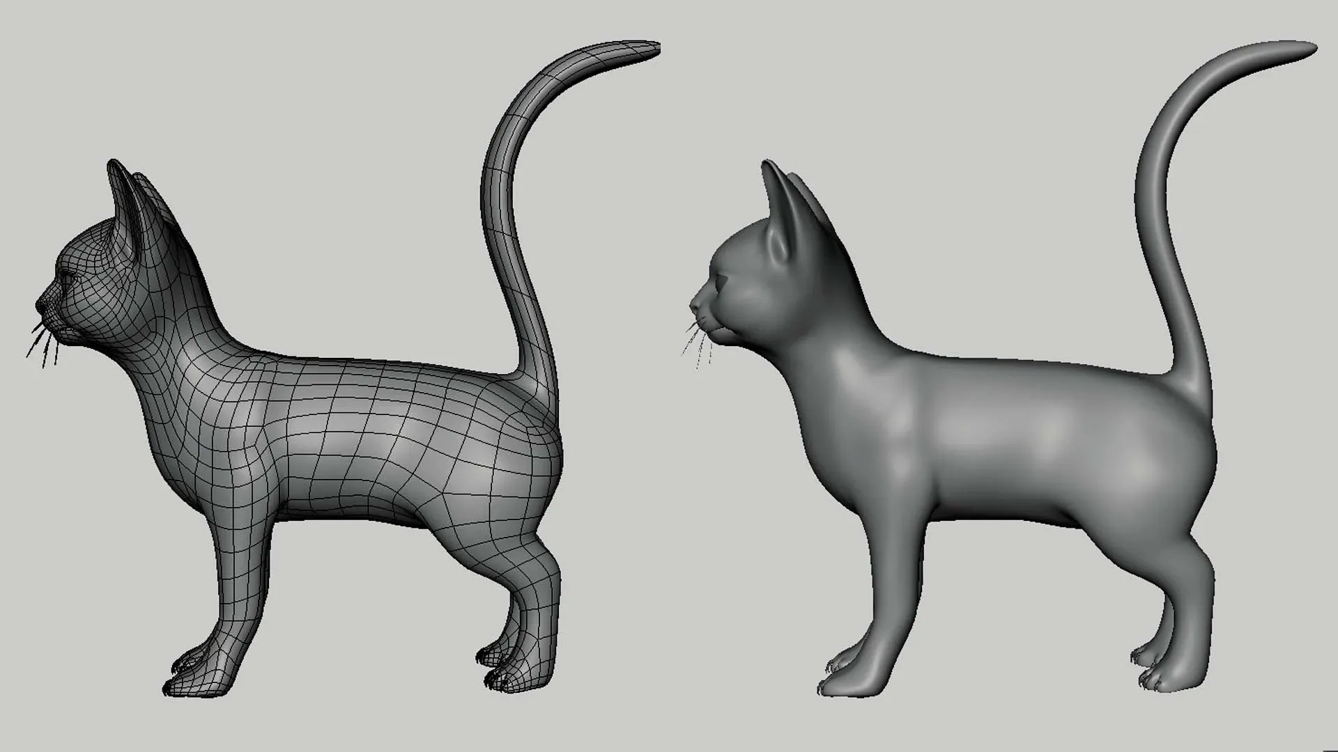 Cat - Topology + UV Map