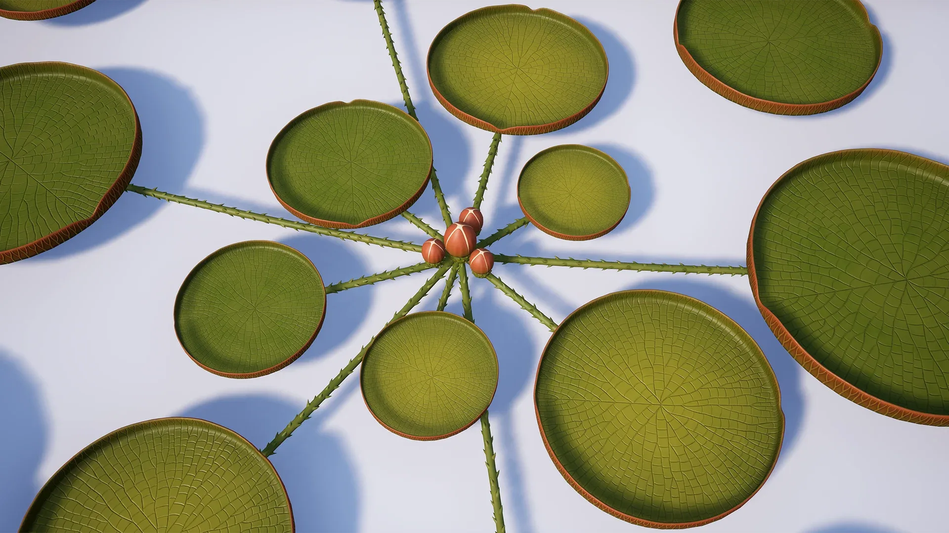 Water Plants and Flowers