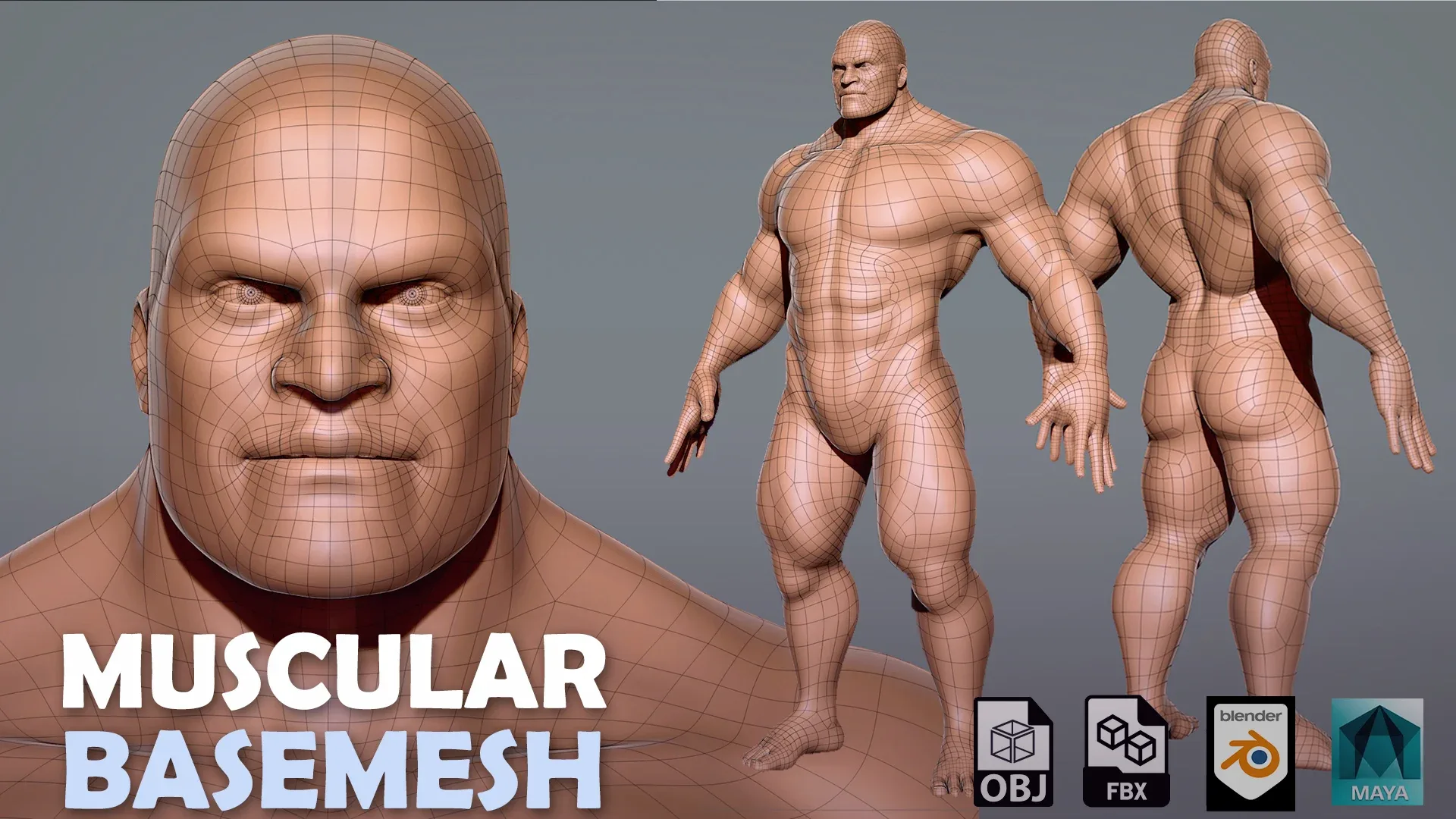 Blender - Muscular Male Anatomy BaseMesh - Topology + UV Map