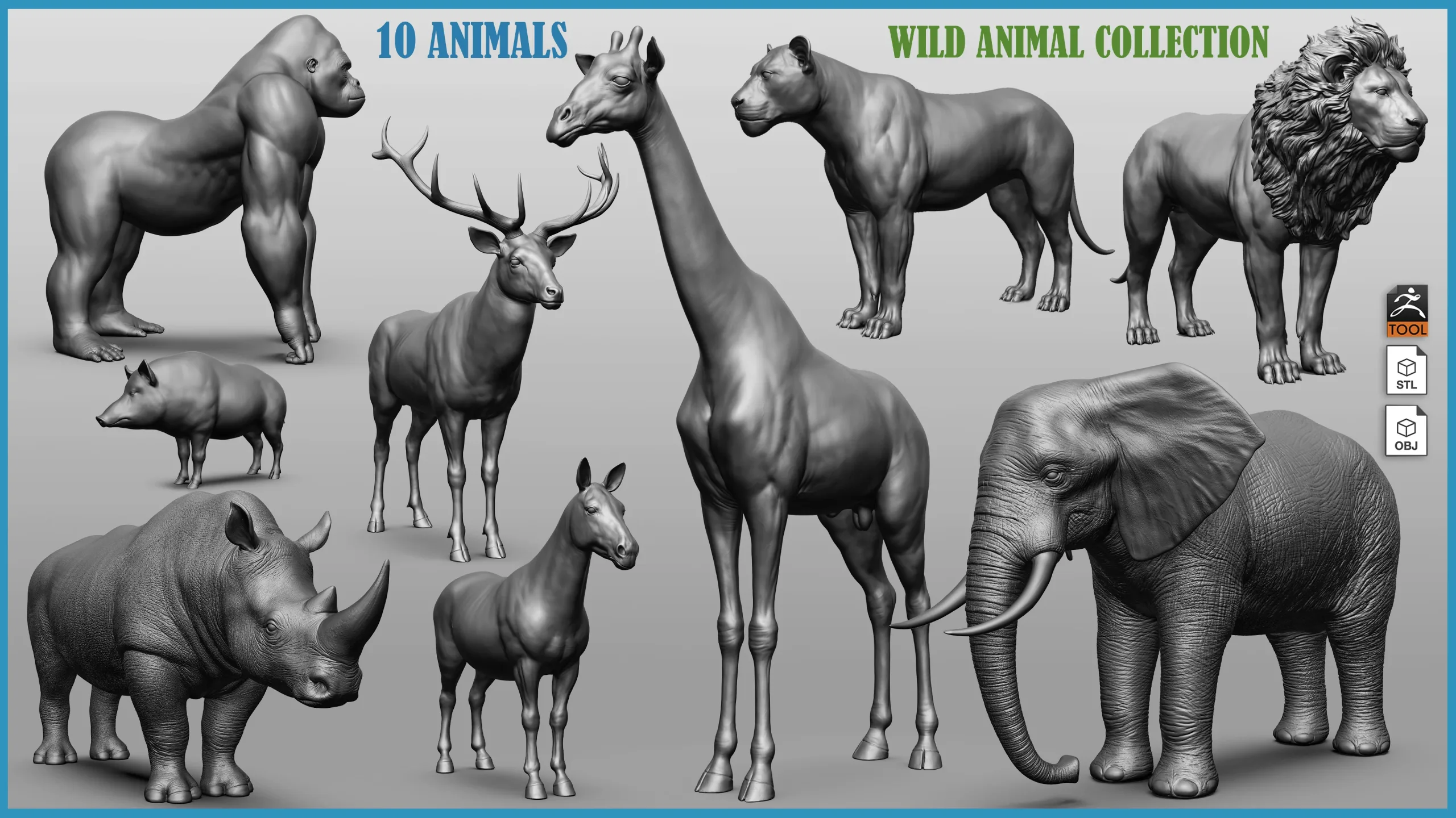 Wild animal collection - 10 animals