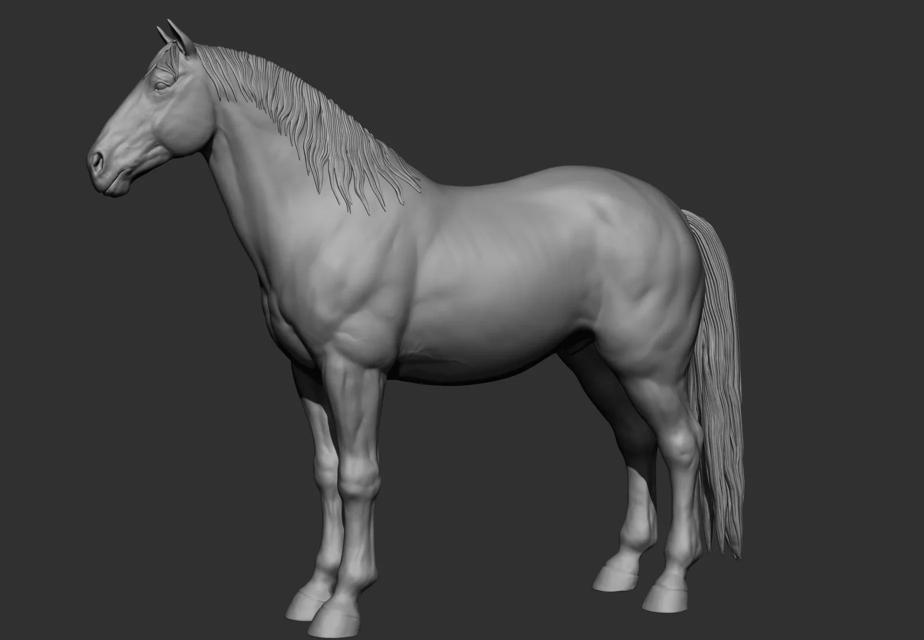 Horse Breeds Collection - 6 horses