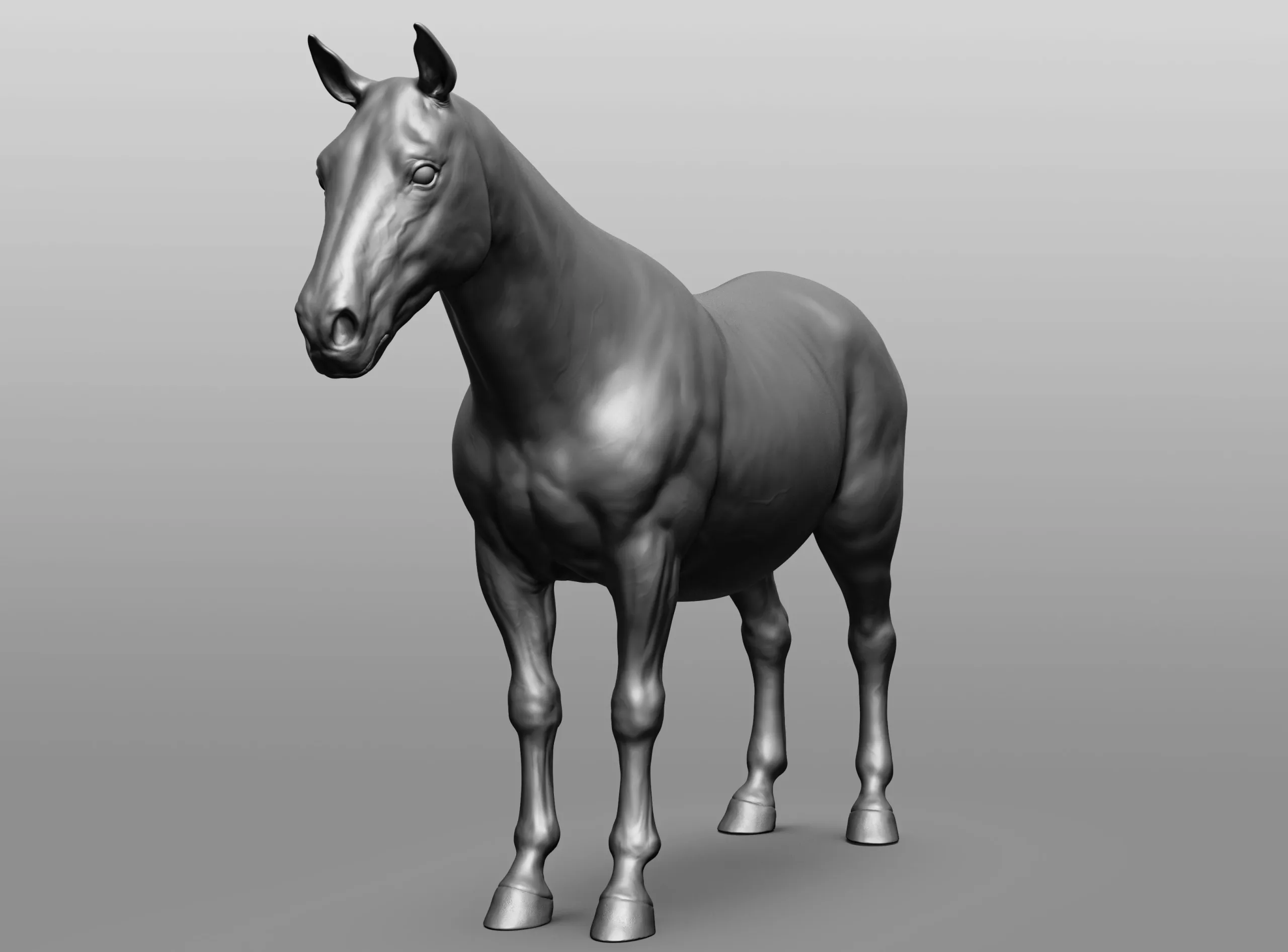 Horse Breeds Collection - 6 horses