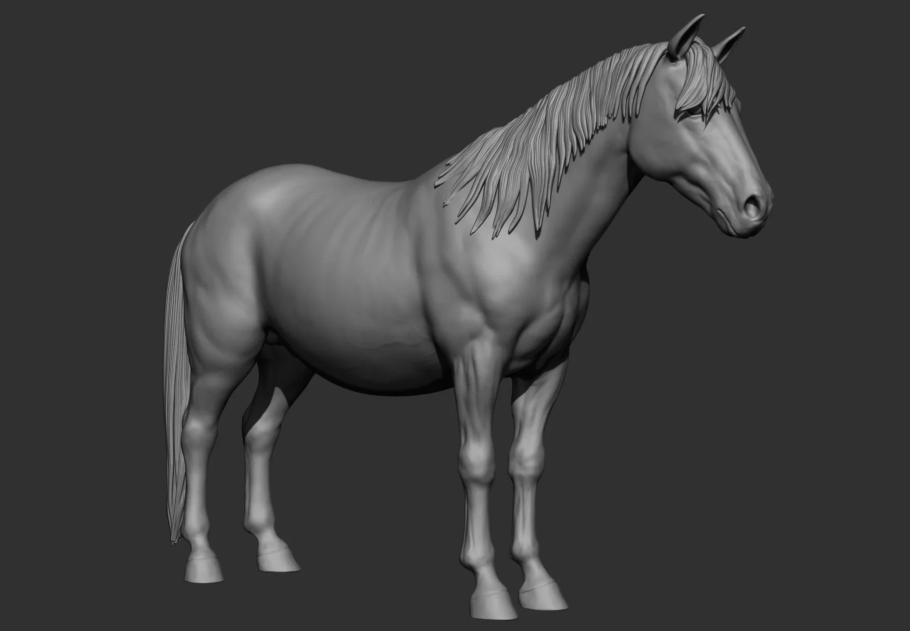 Horse Breeds Collection - 6 horses