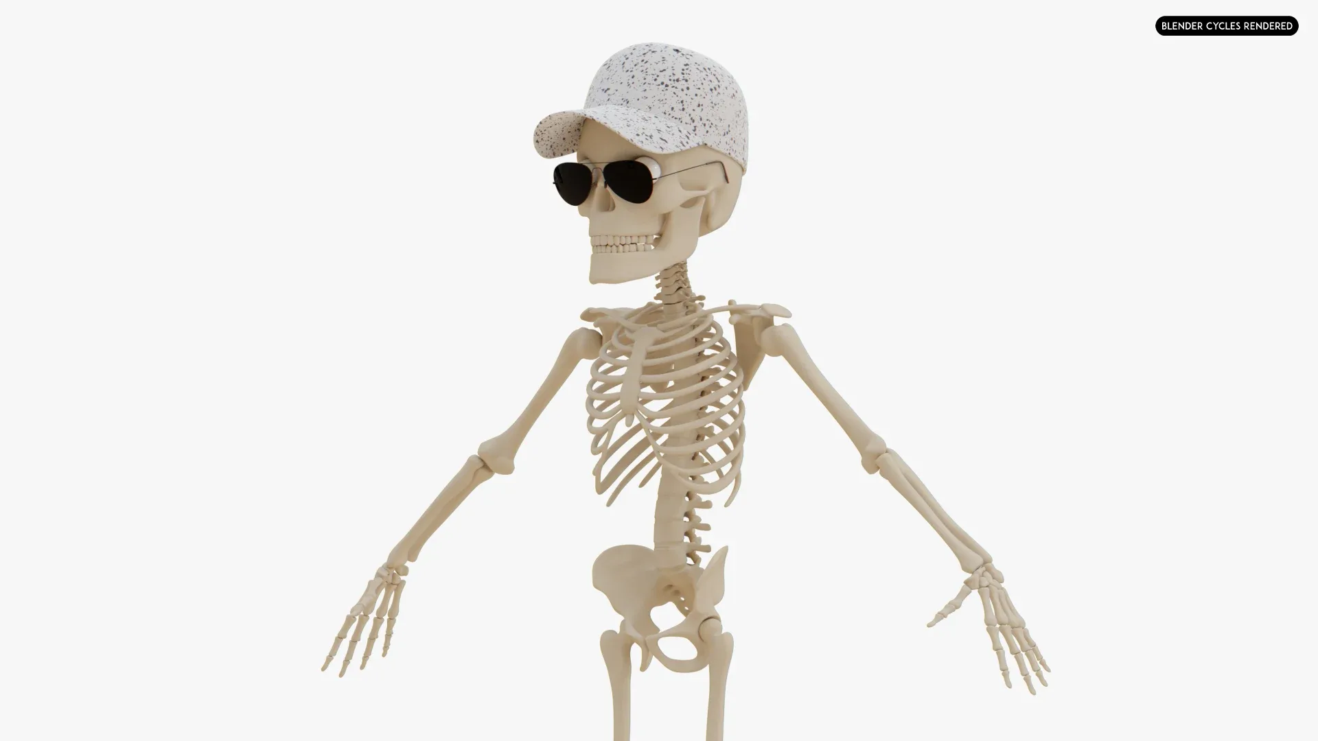 Human Cartoon Skeleton Stylized