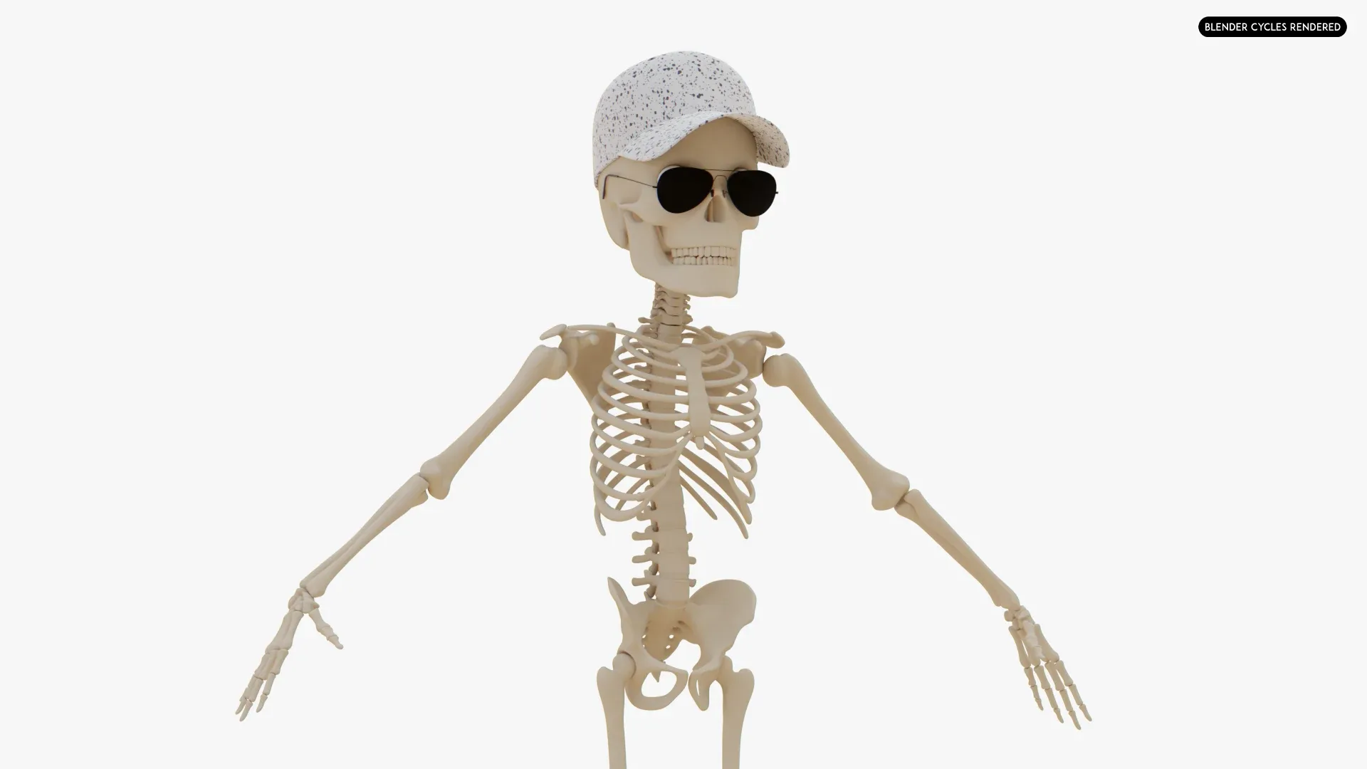 Human Cartoon Skeleton Stylized