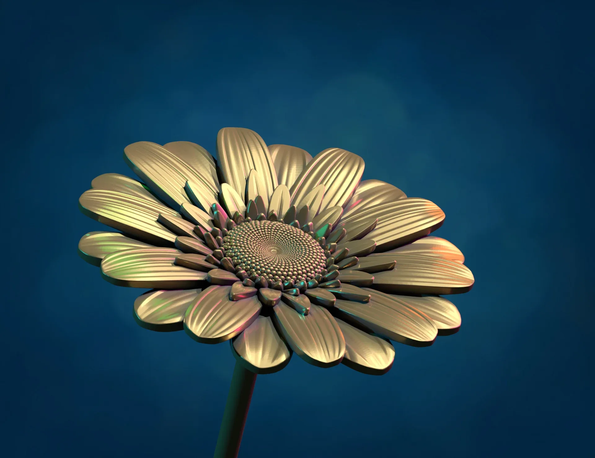 Daisy Flower