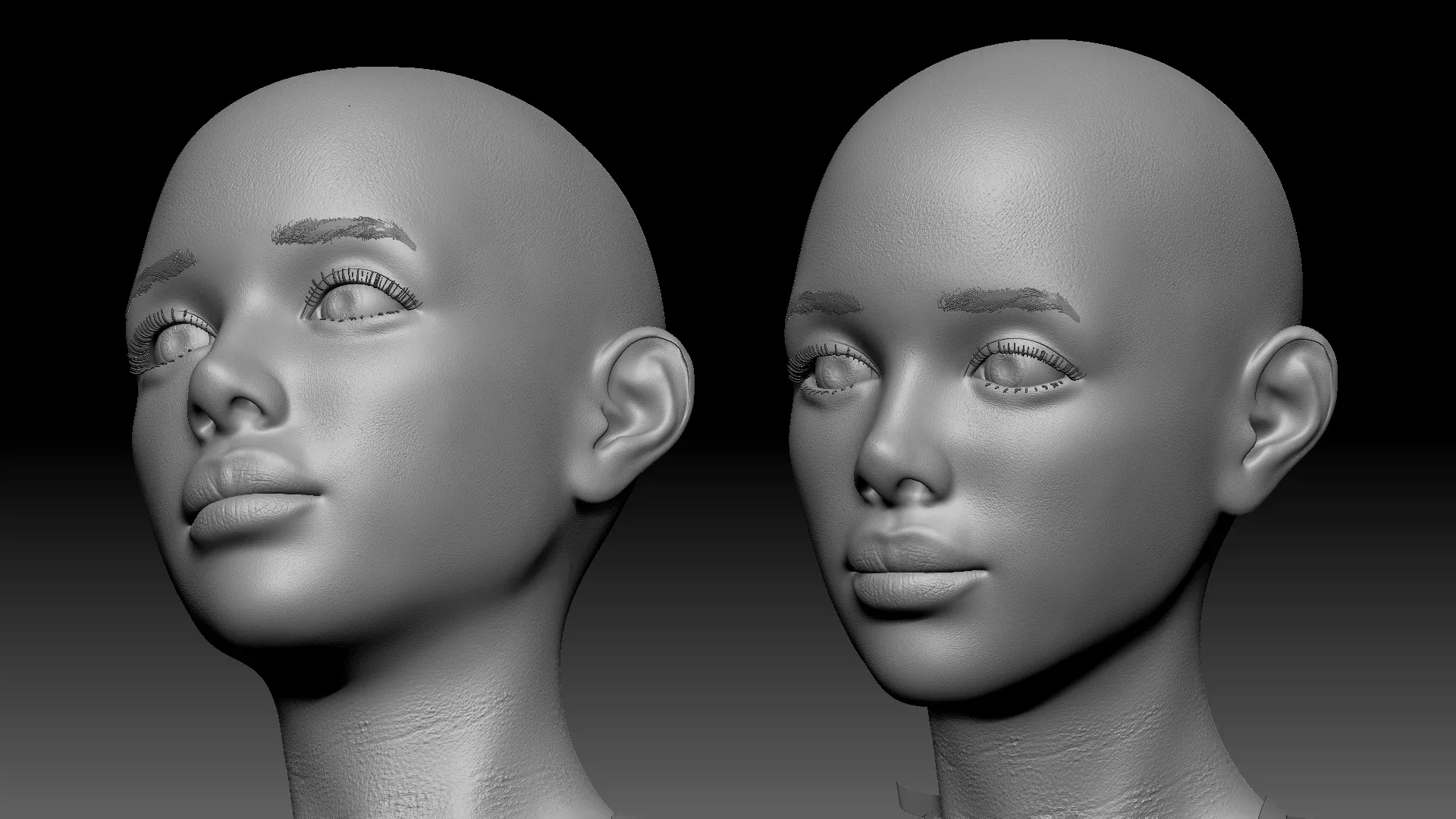 Female anatomy base model