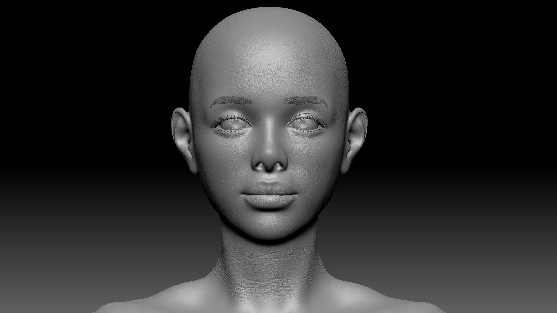 Female anatomy base model