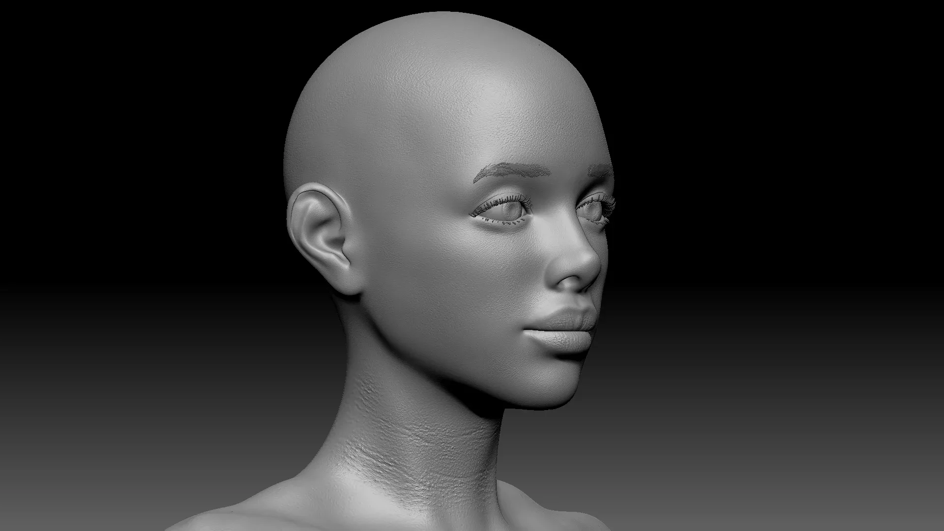 Female anatomy base model