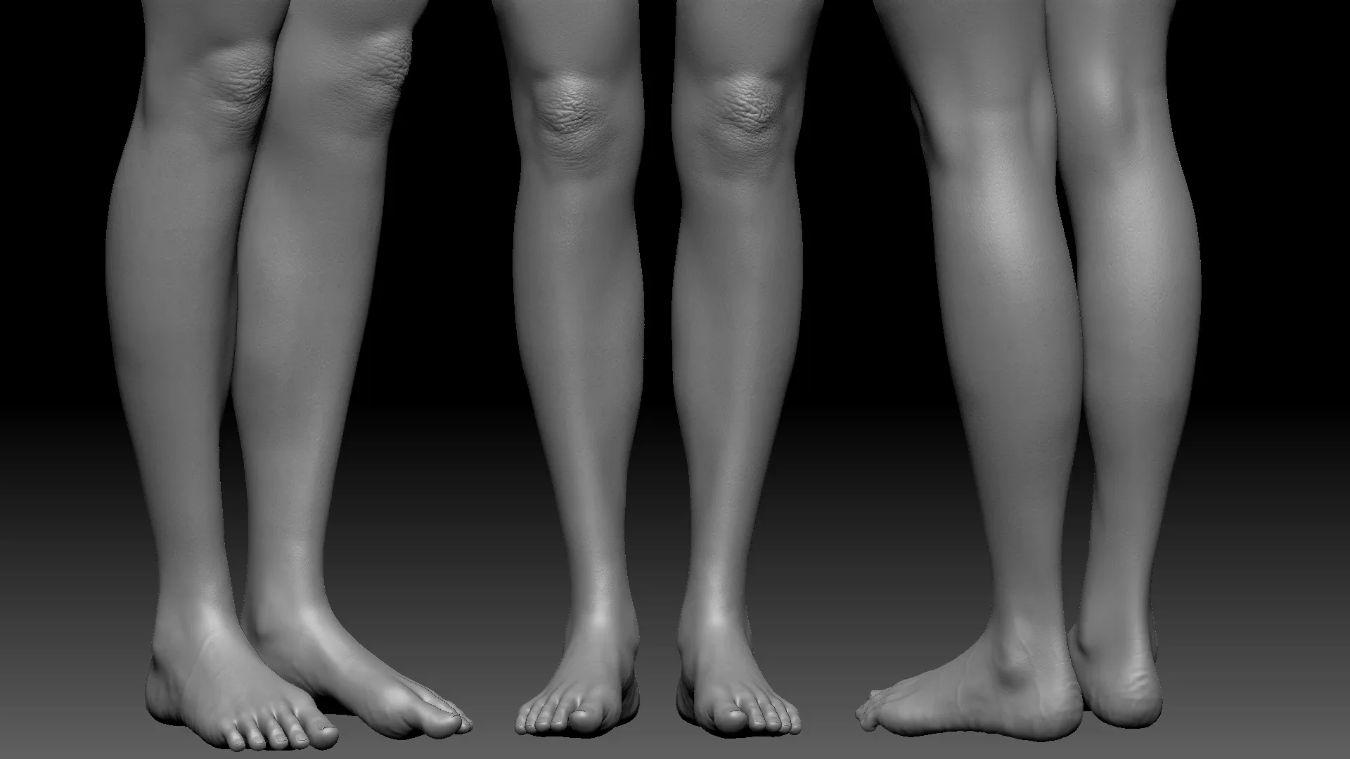 Female anatomy base model