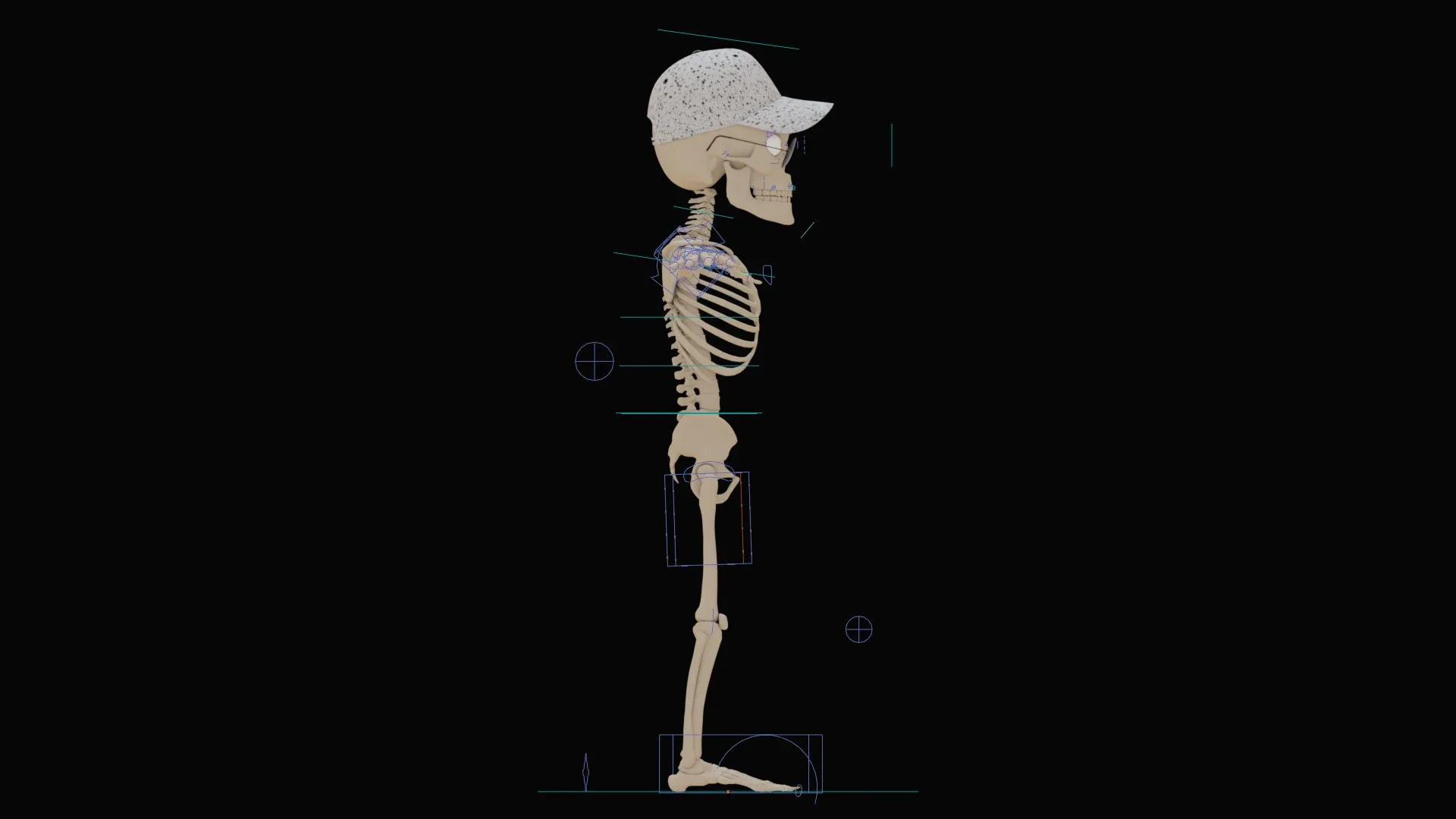 Human Cartoon Skeleton Stylized