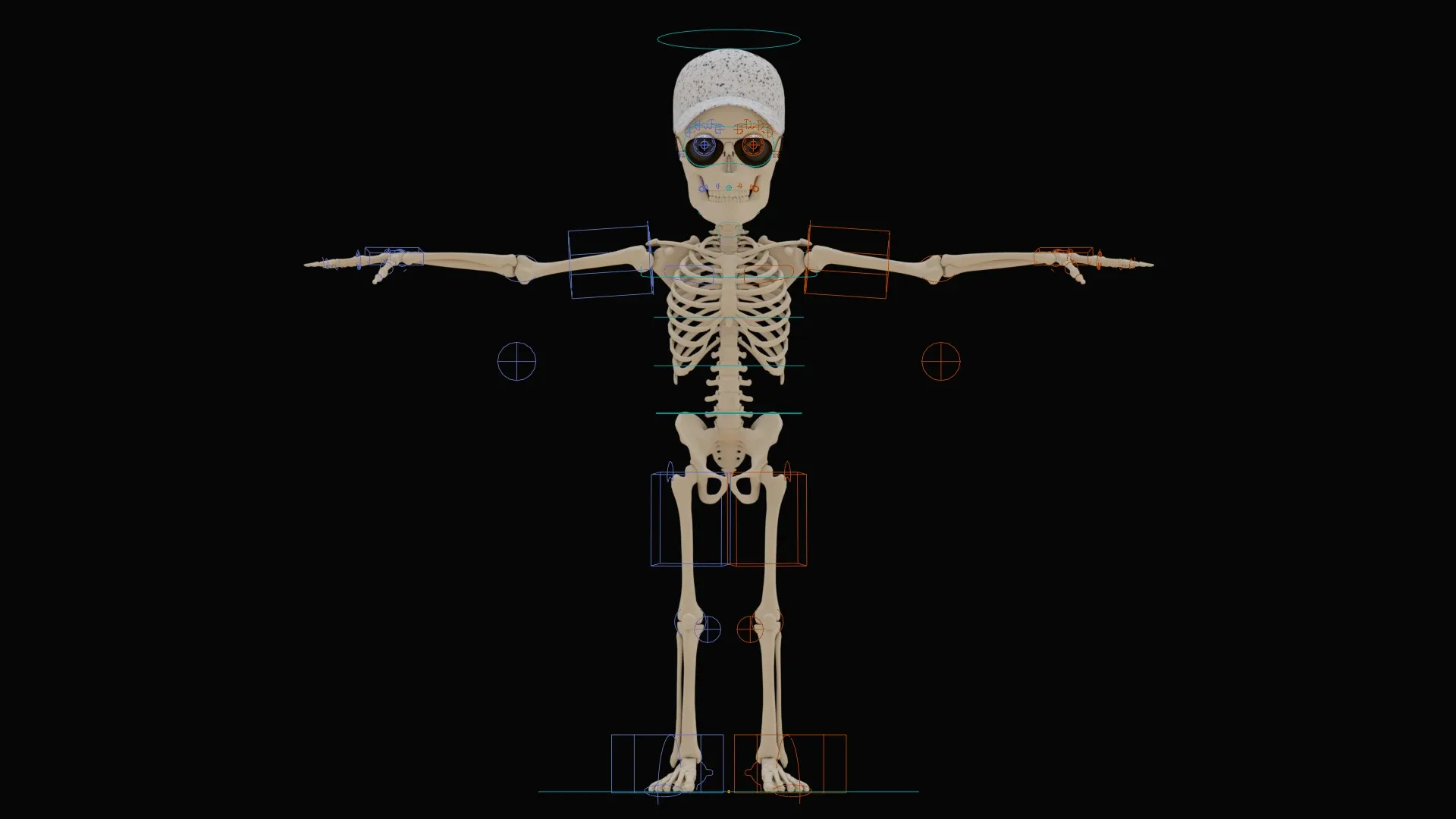 Human Cartoon Skeleton Stylized