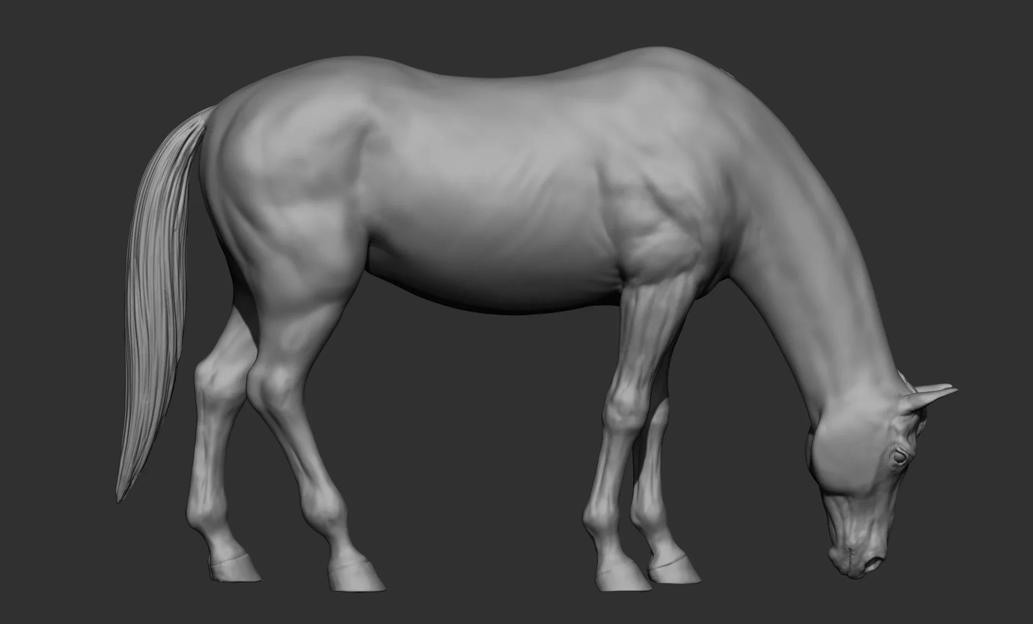 18 horse poses - 3D Models