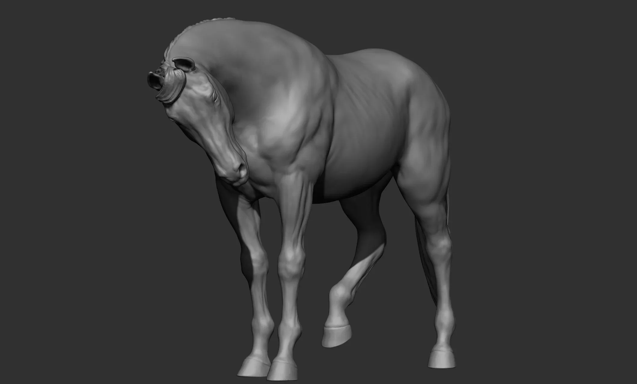 18 horse poses - 3D Models