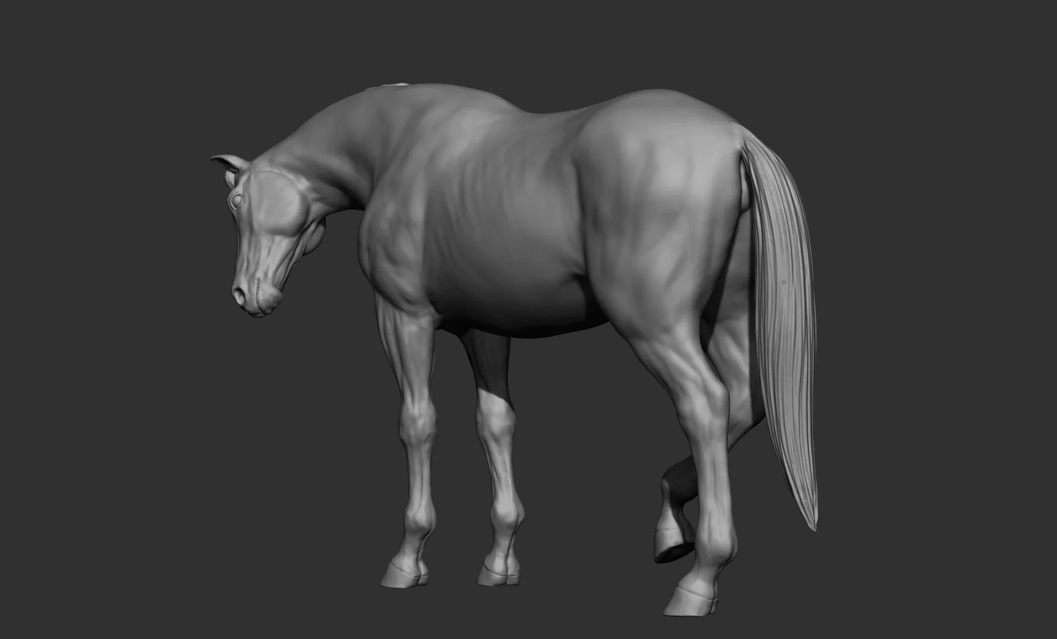 18 horse poses - 3D Models