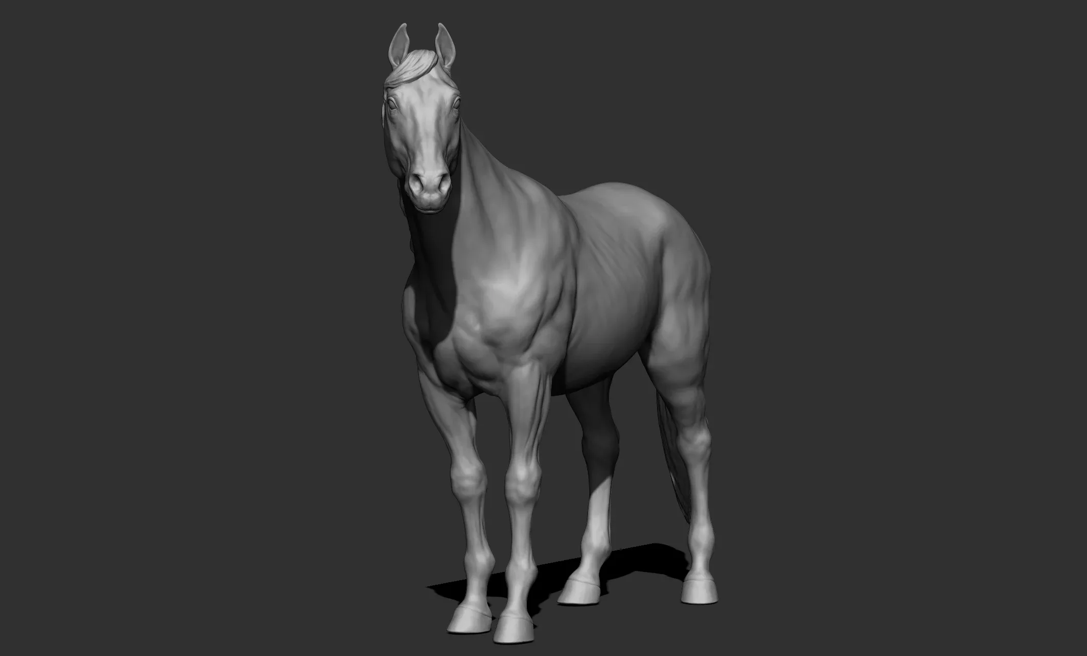 11 horse poses - 3D Models