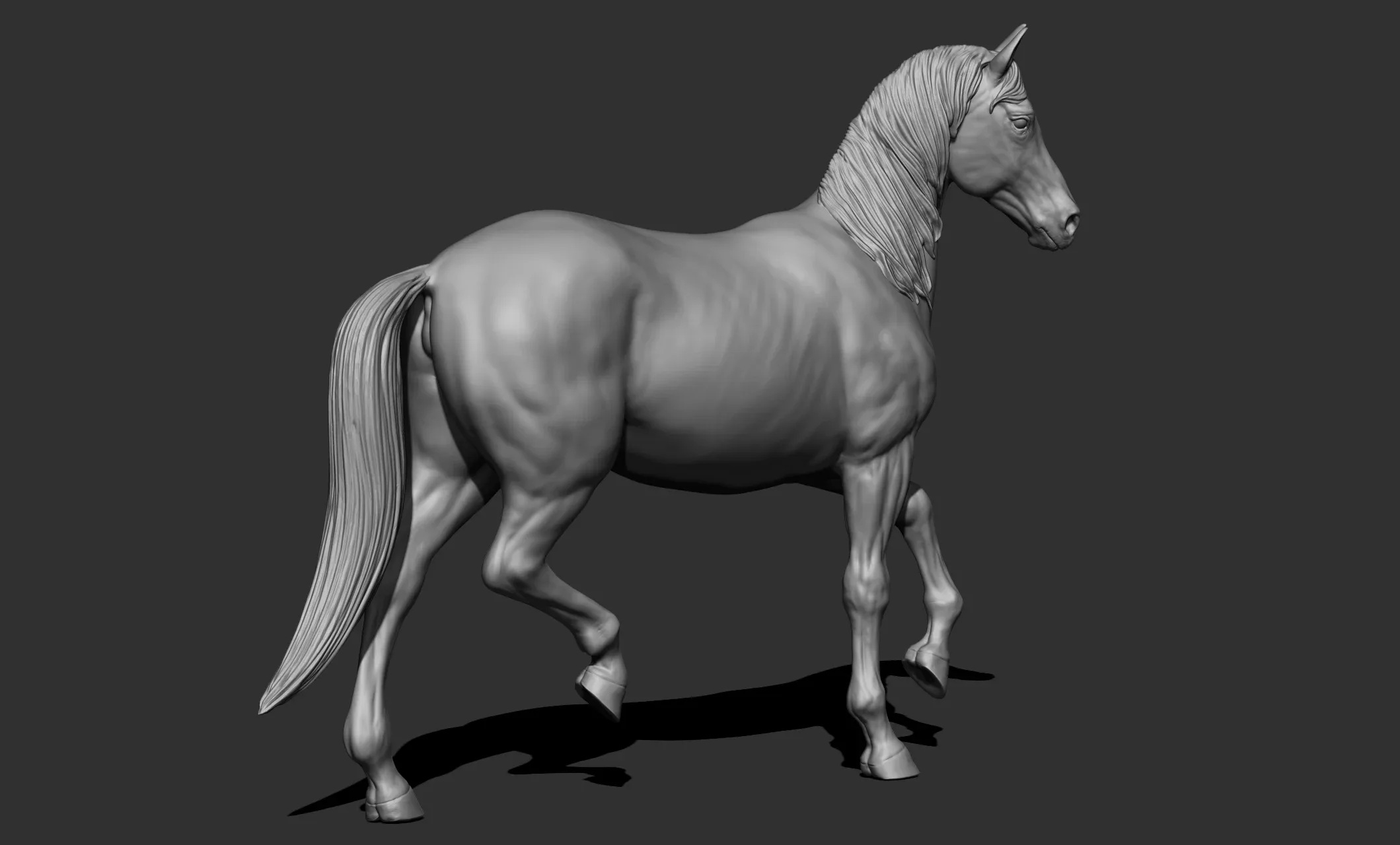 11 horse poses - 3D Models