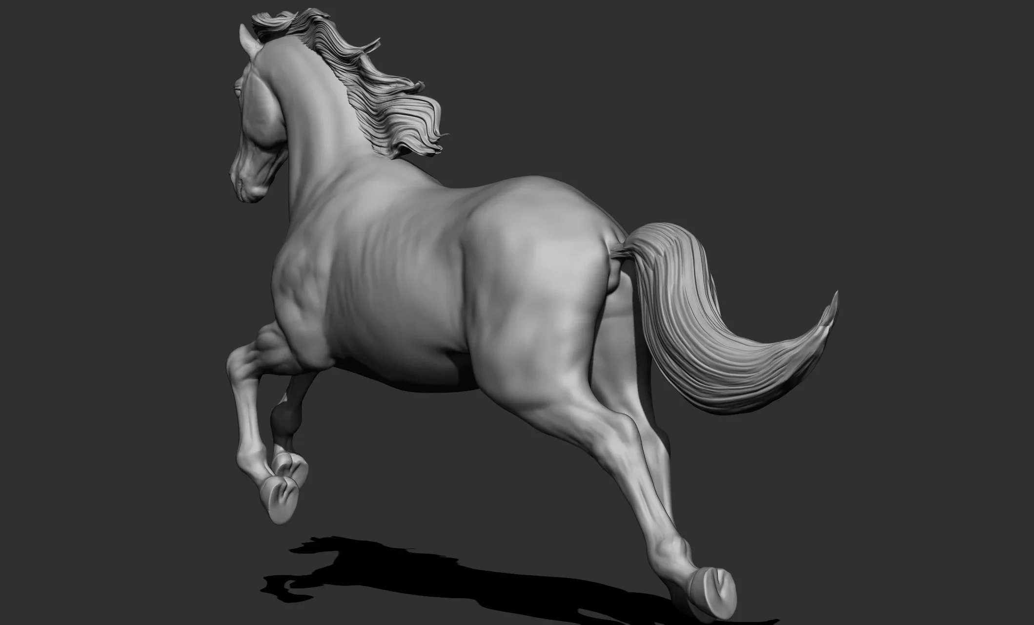 11 horse poses - 3D Models