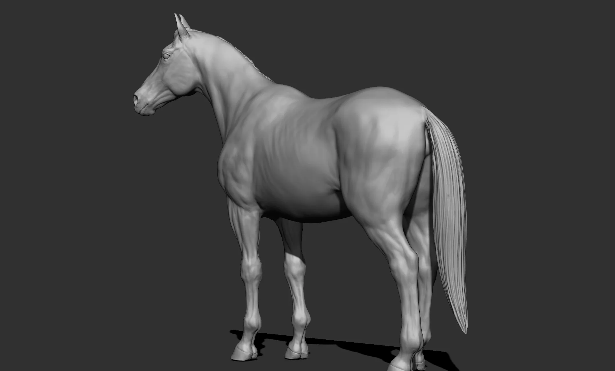 11 horse poses - 3D Models