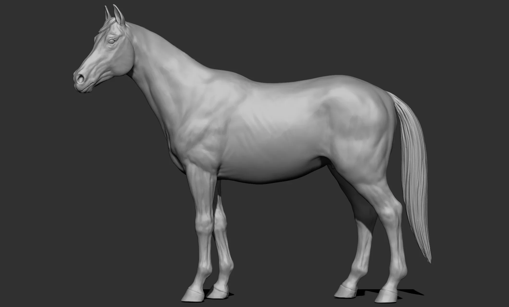 11 horse poses - 3D Models