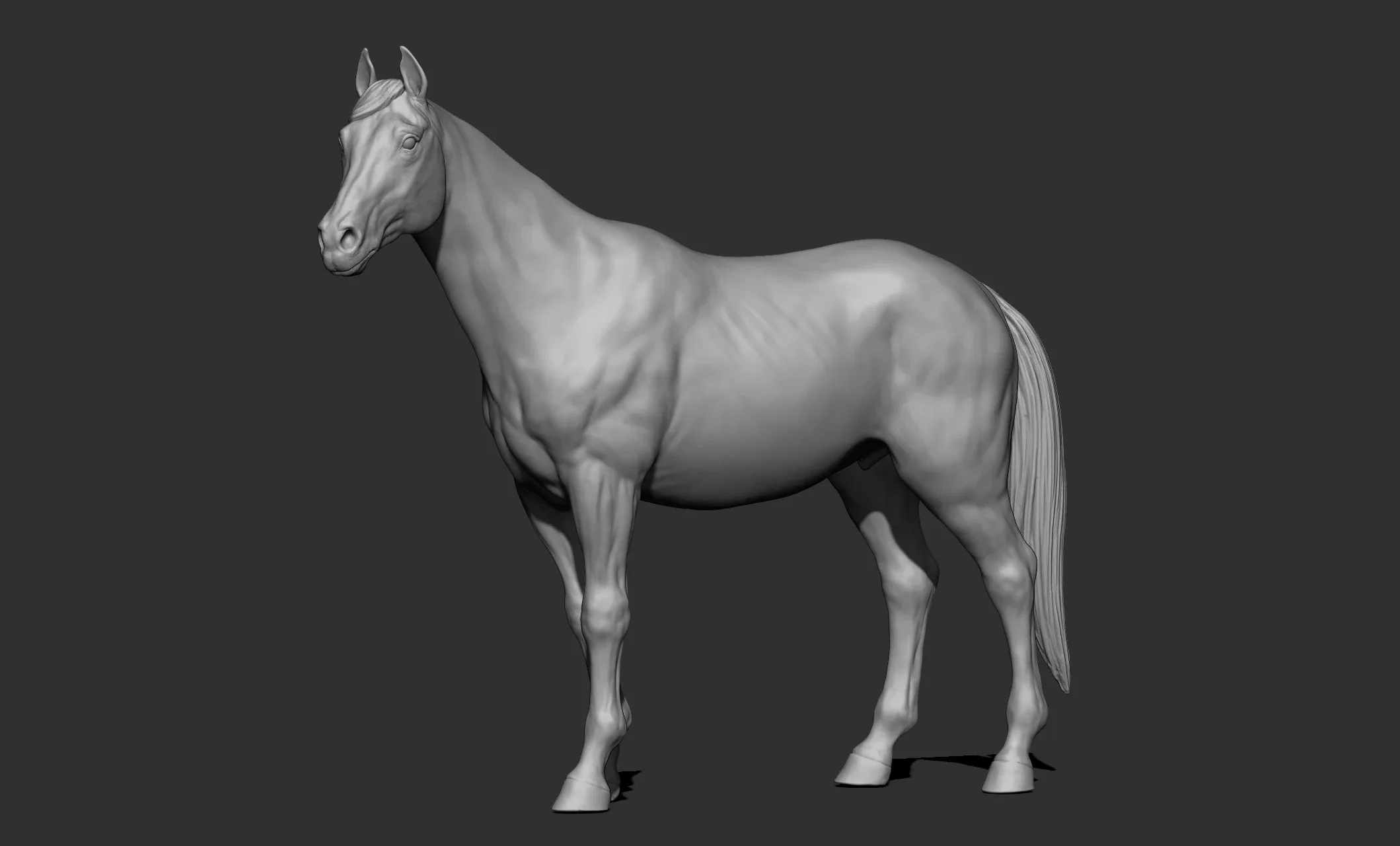 11 horse poses - 3D Models