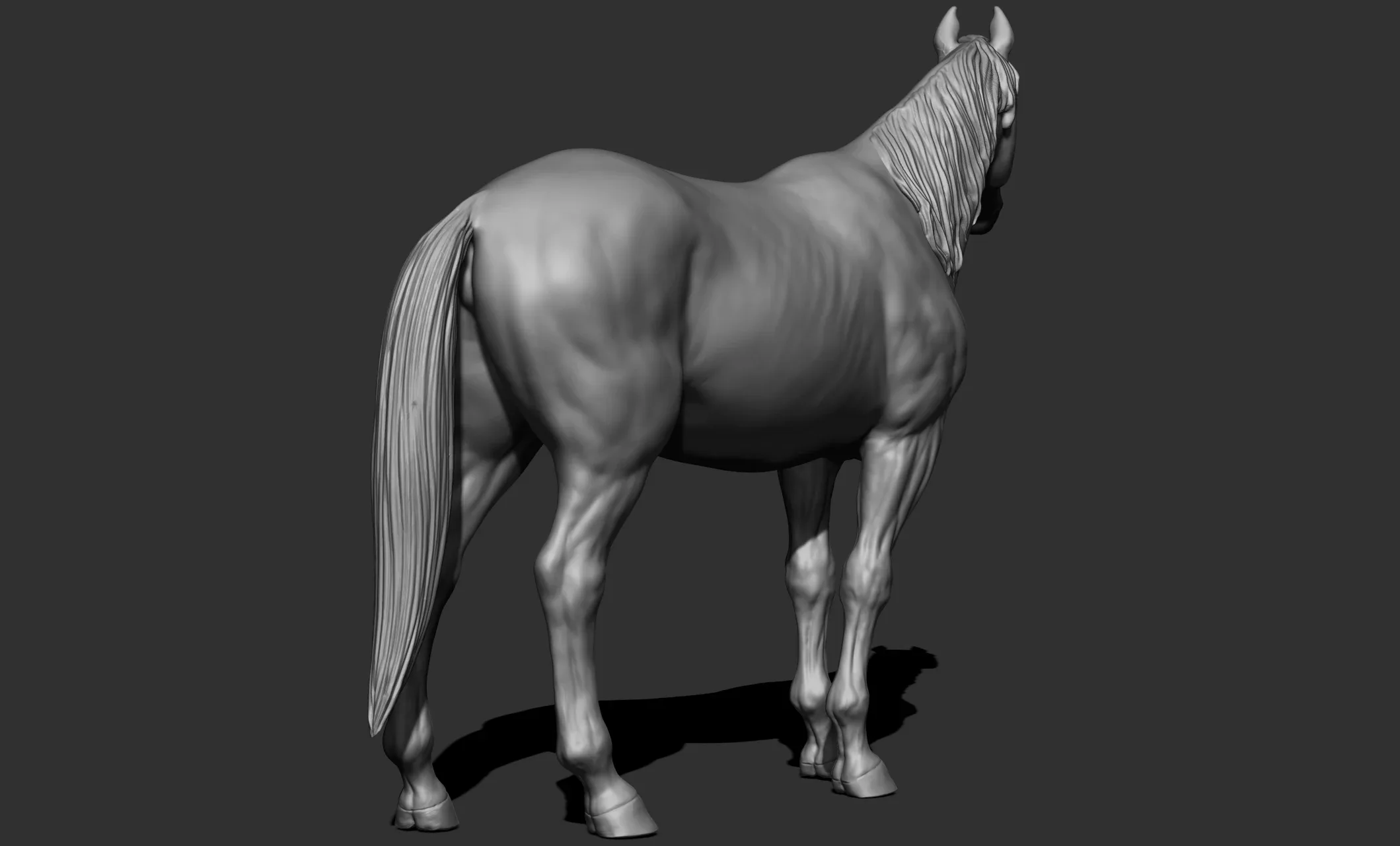 11 horse poses - 3D Models