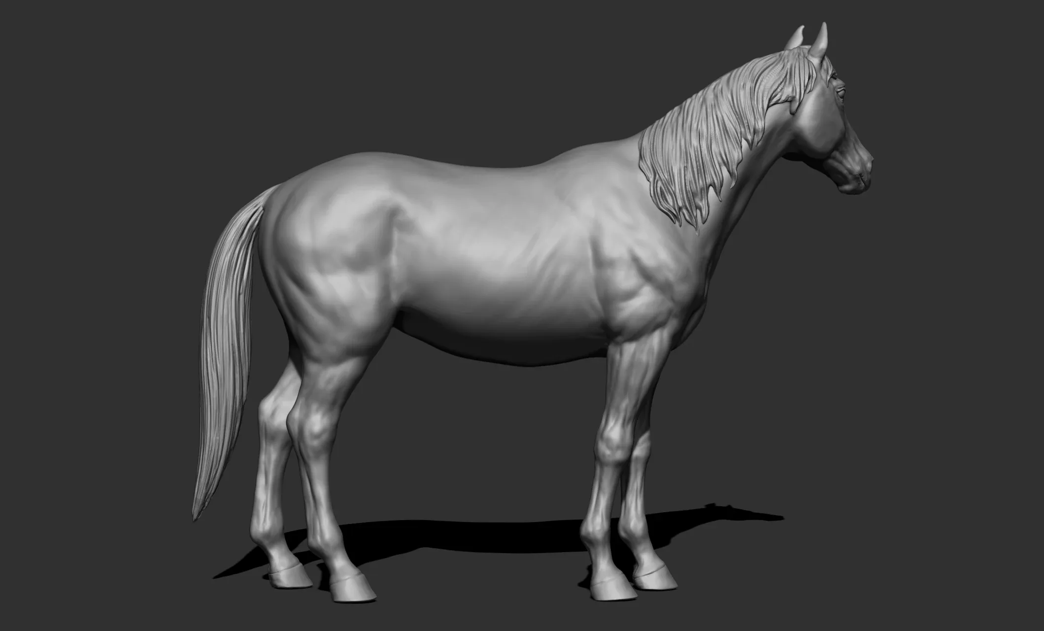 11 horse poses - 3D Models