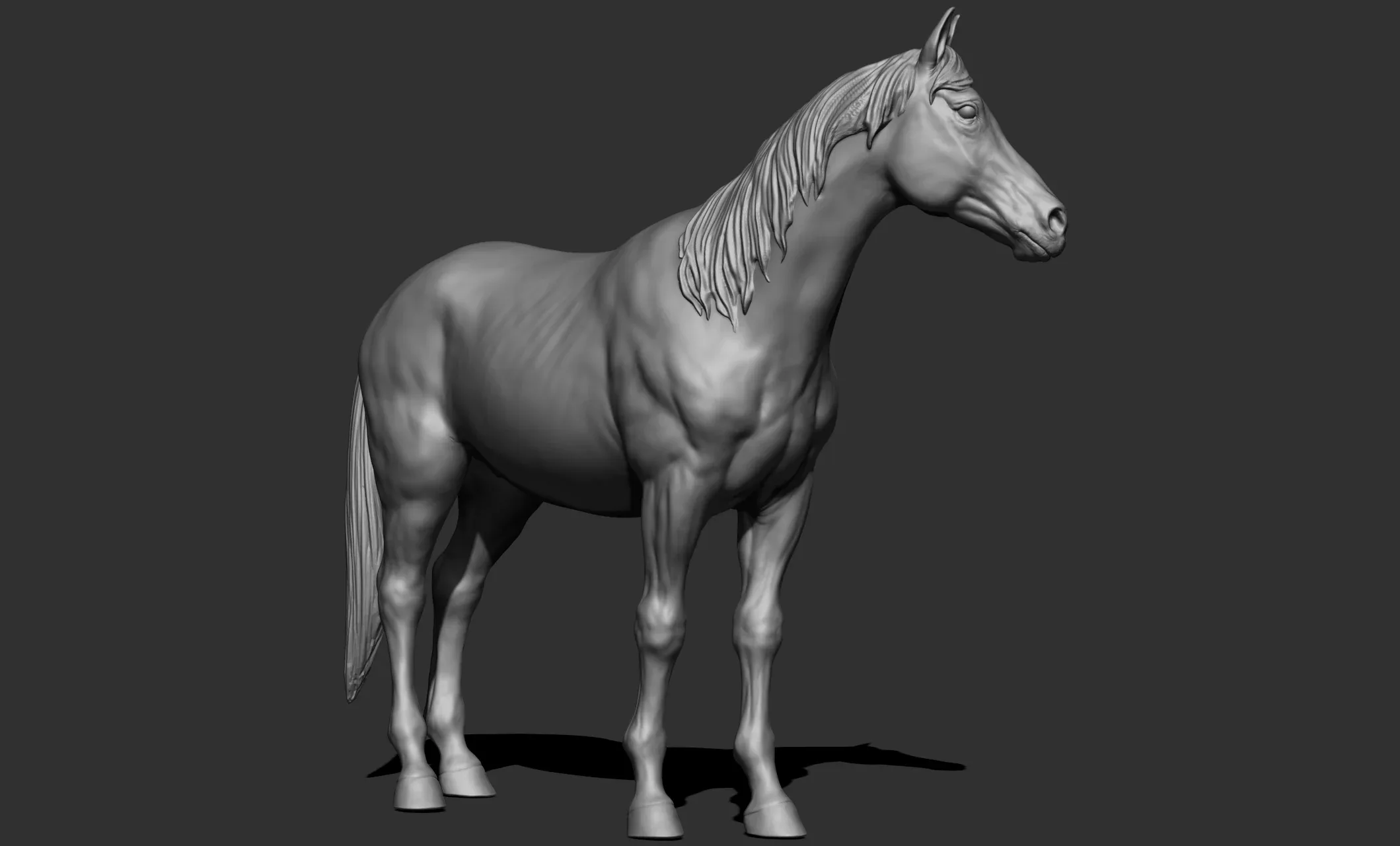 11 horse poses - 3D Models